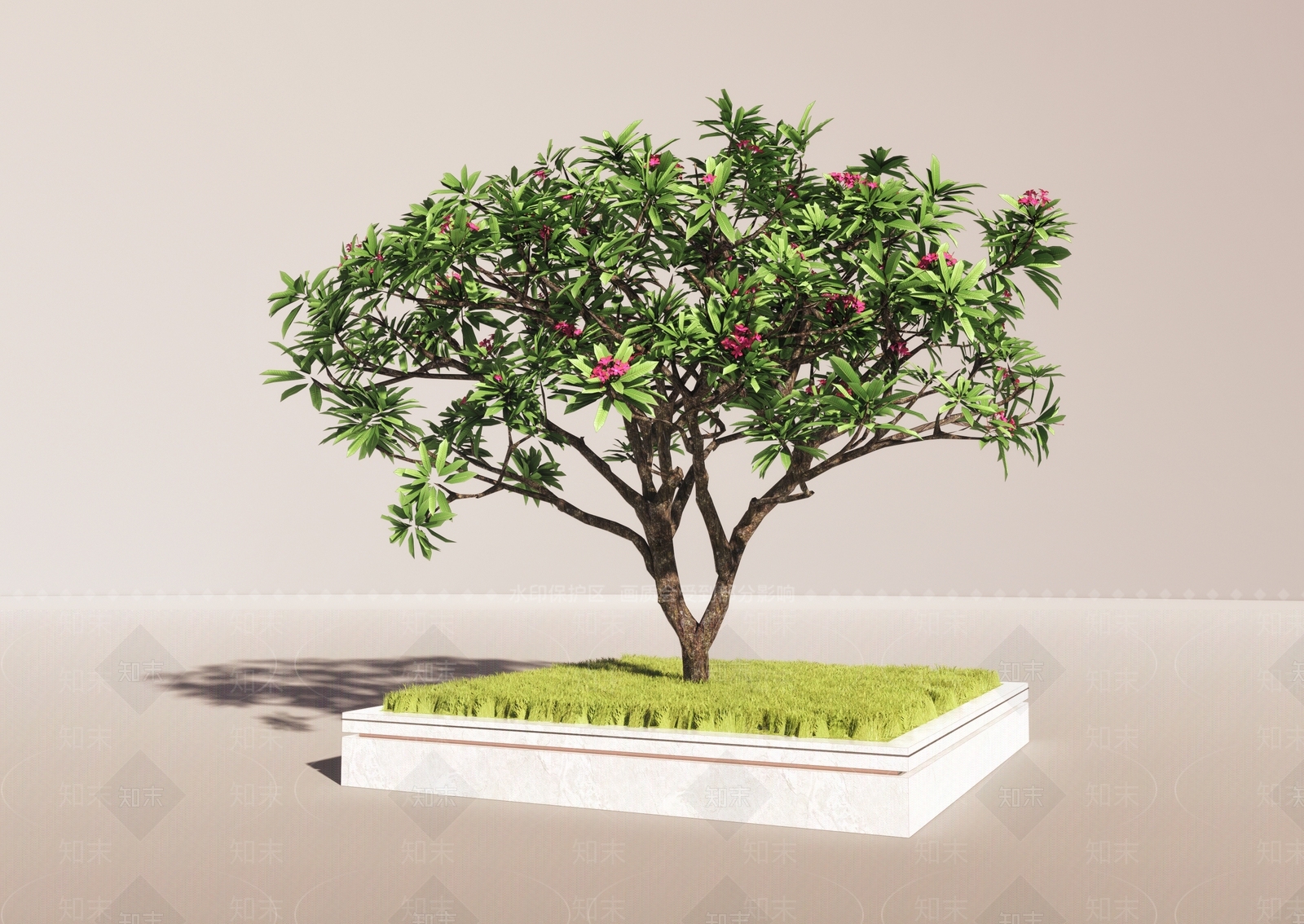 现代造型鸡蛋花SU模型下载【ID:1110495907】