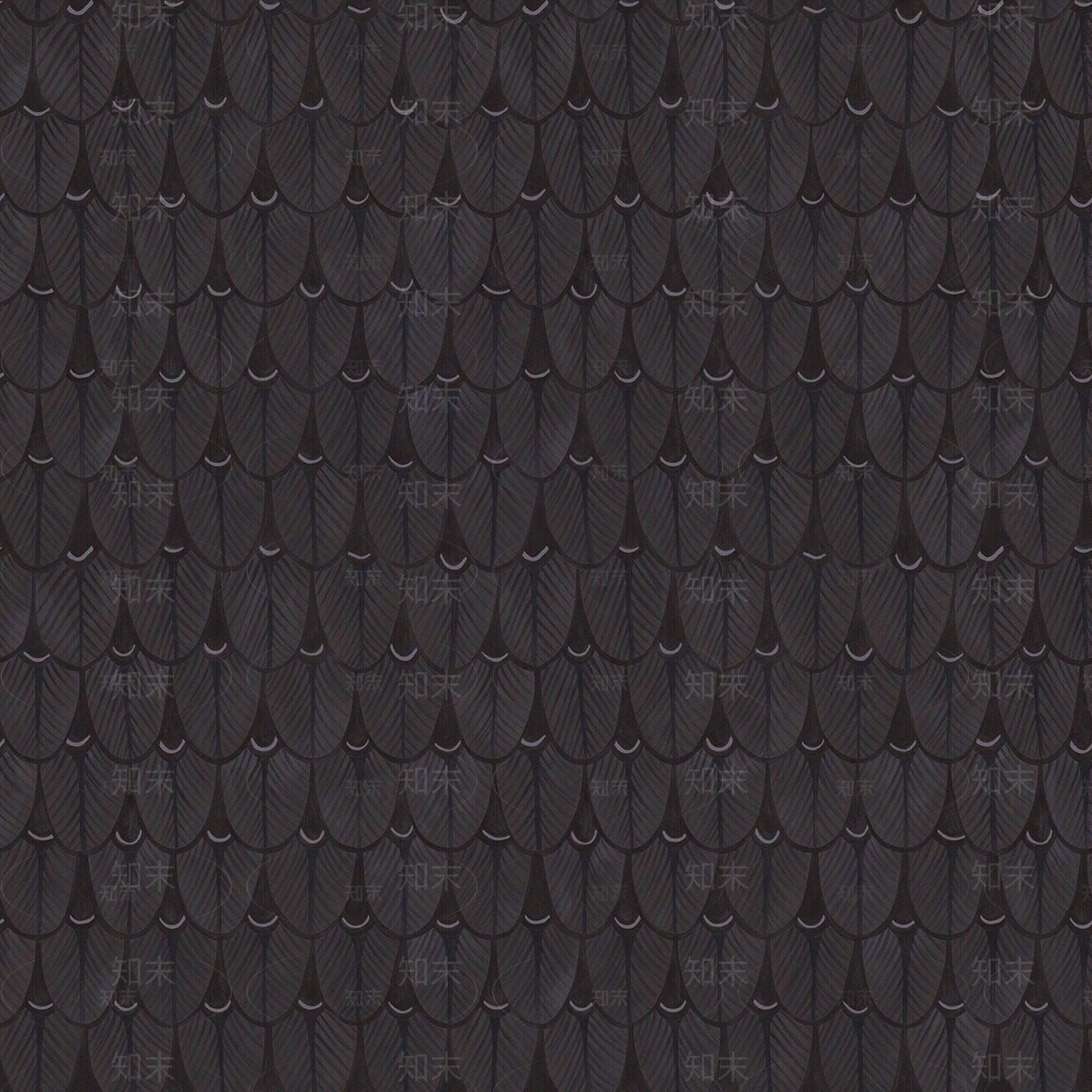 黑色羽毛印花壁纸贴图下载【ID:1110522382】