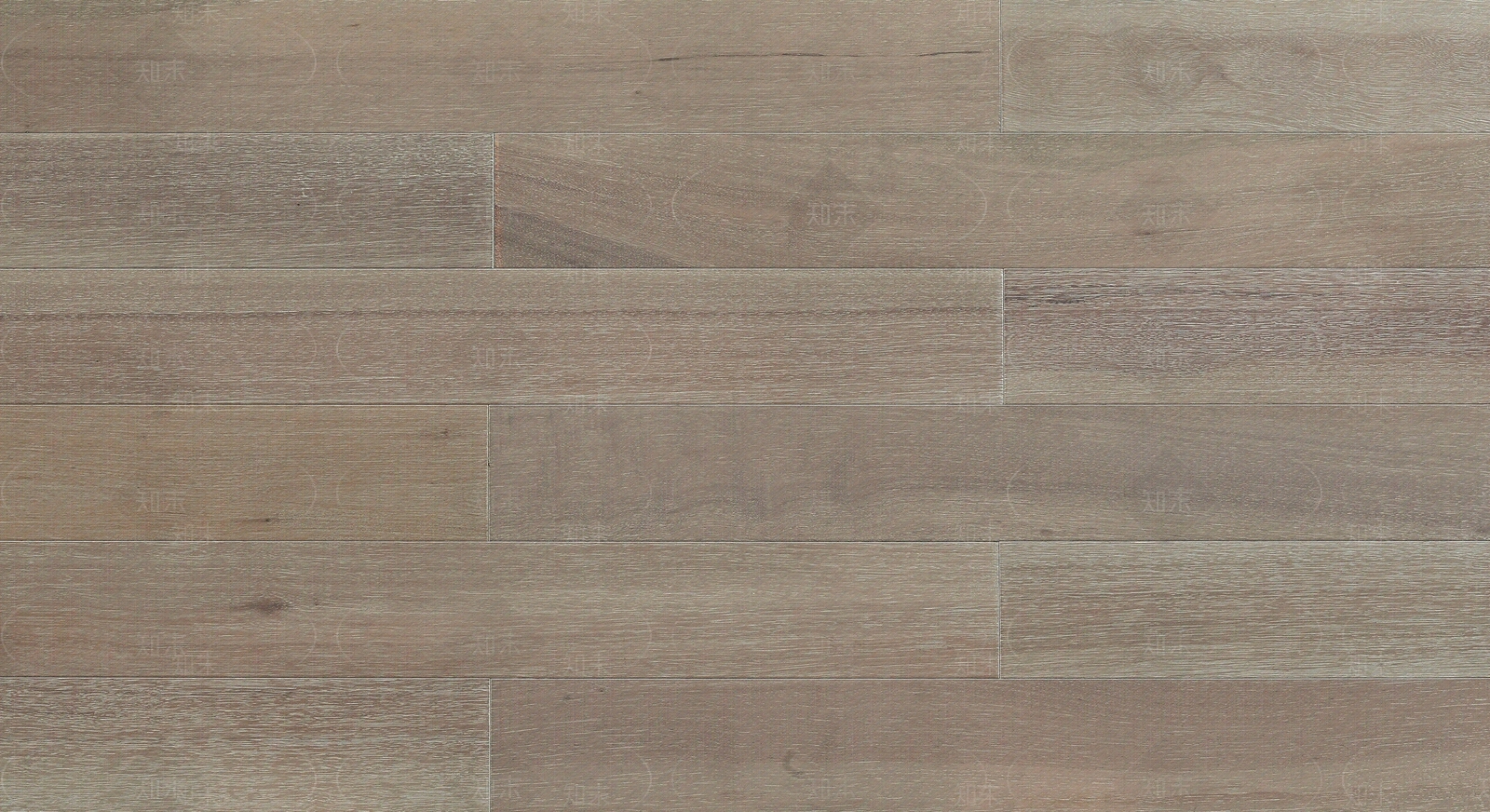暖灰实木木地板贴图下载【ID:1110585328】
