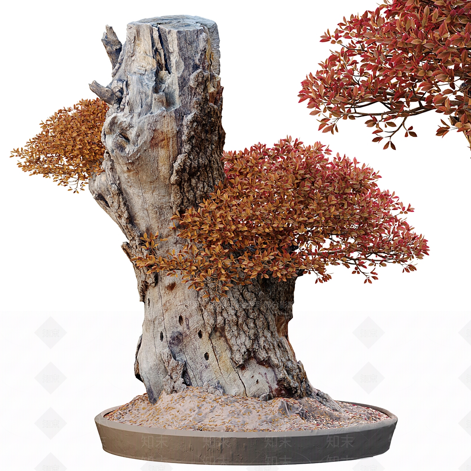 新中式盆景3D模型下载【ID:1110678235】