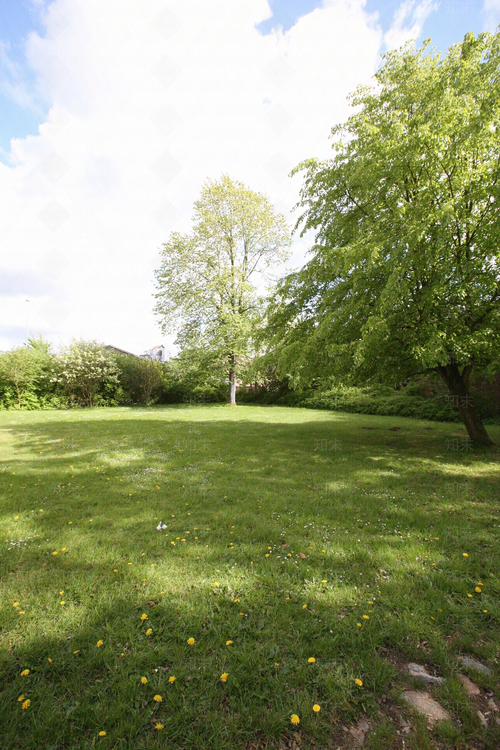 草地草坪贴图下载【ID:1110711645】