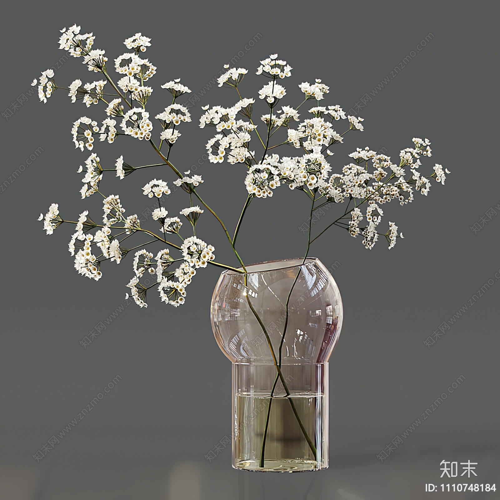 现代水生植物3D模型下载【ID:1110748184】