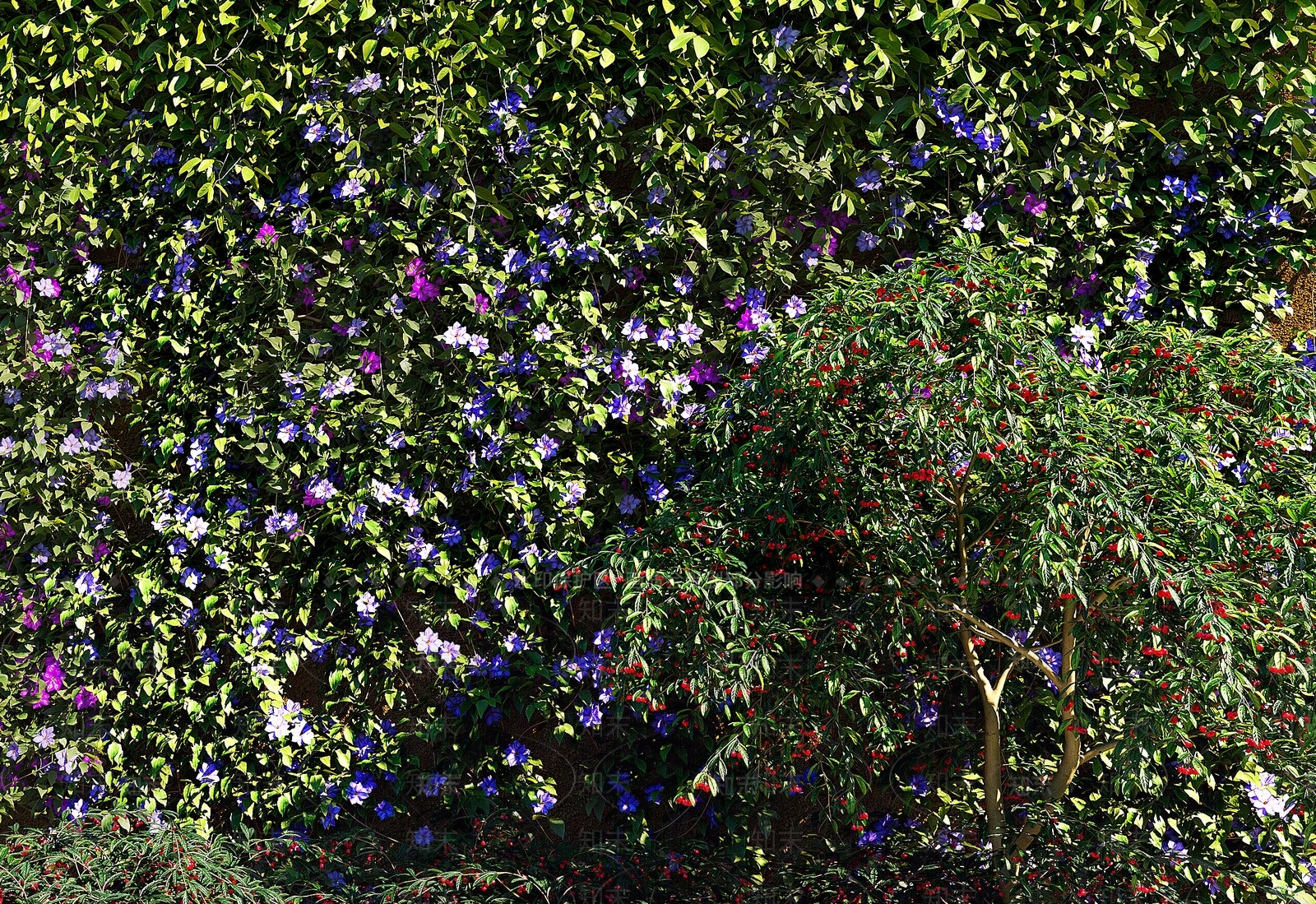 现代绿植墙3D模型下载【ID:1110785197】