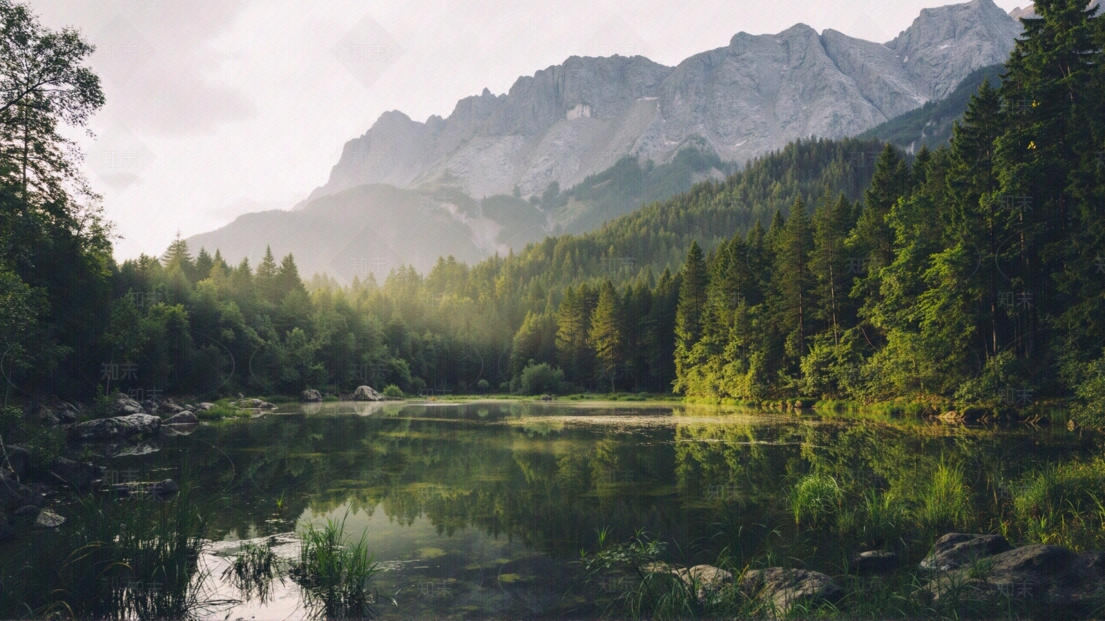 山林湖水风景贴图下载【ID:1195355894】