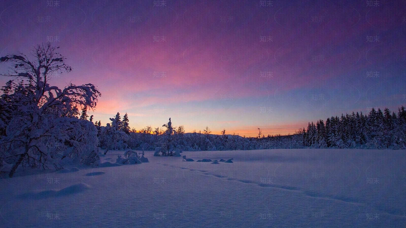 冬季天空雪地树木风景贴图下载【ID:1110826290】