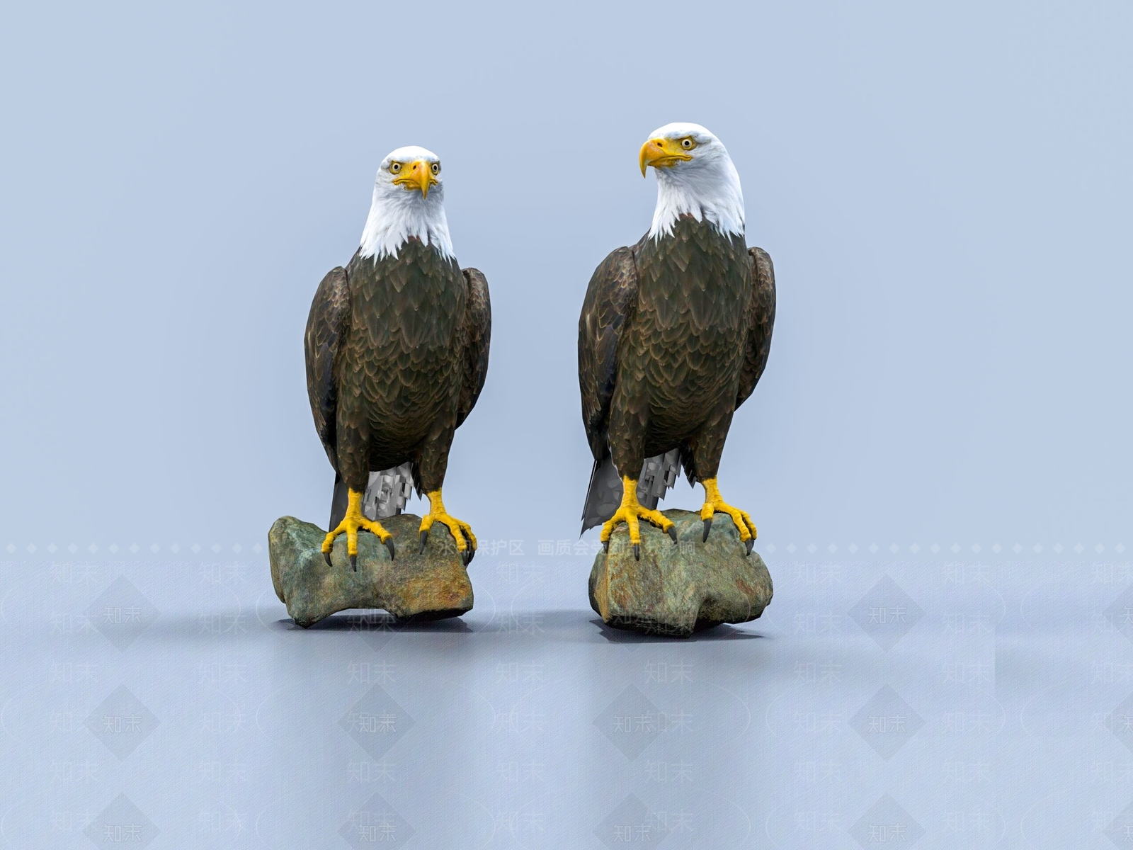 现代老鹰3D模型下载【ID:1110848816】