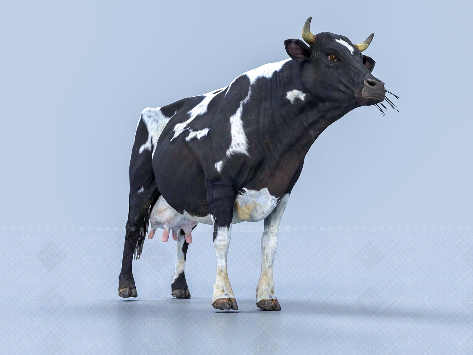 现代奶牛3D模型下载【ID:1110849066】