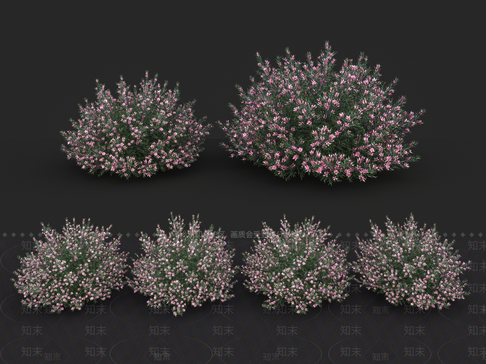 现代花草组合3D模型下载【ID:1110898759】