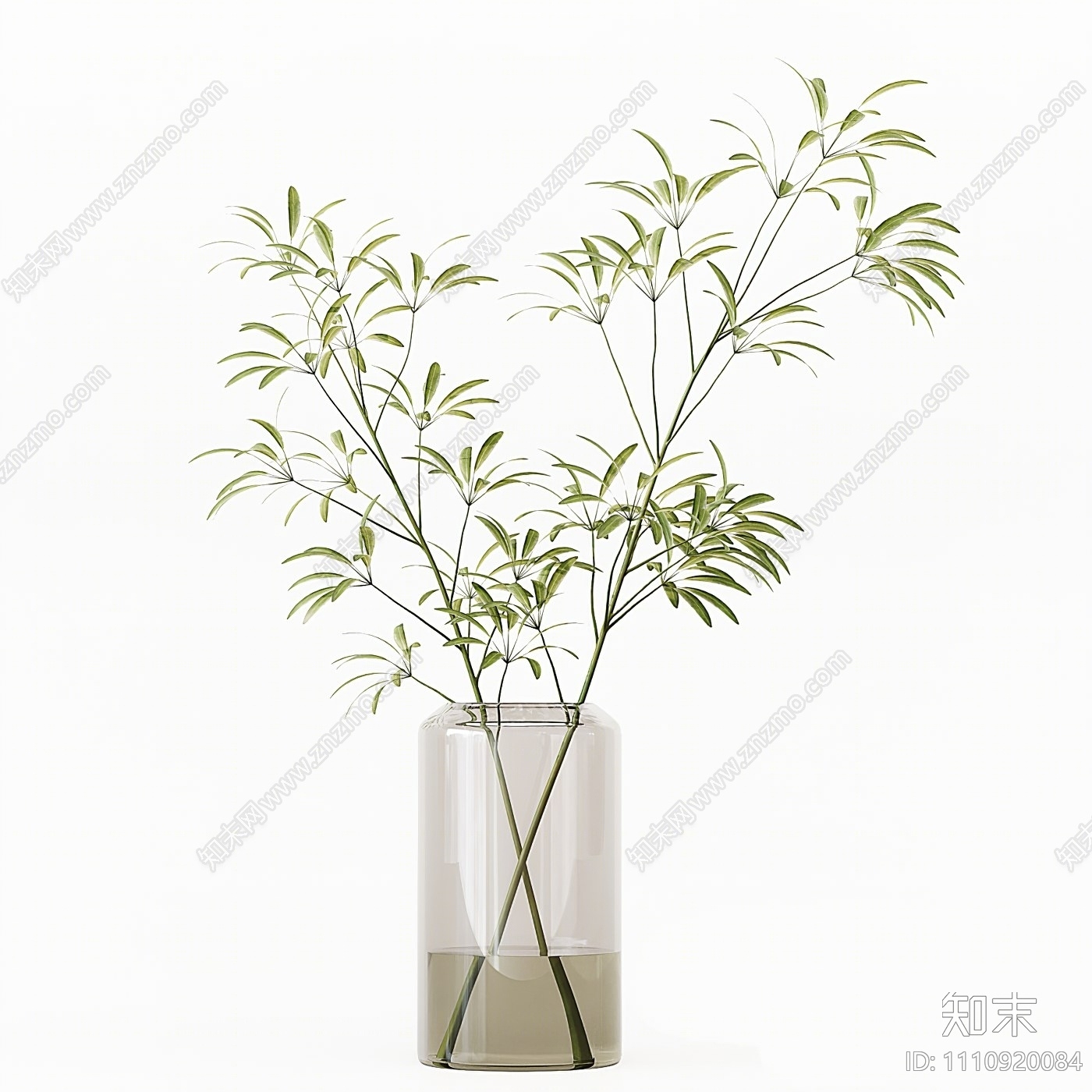 现代水生植物3D模型下载【ID:1110920084】