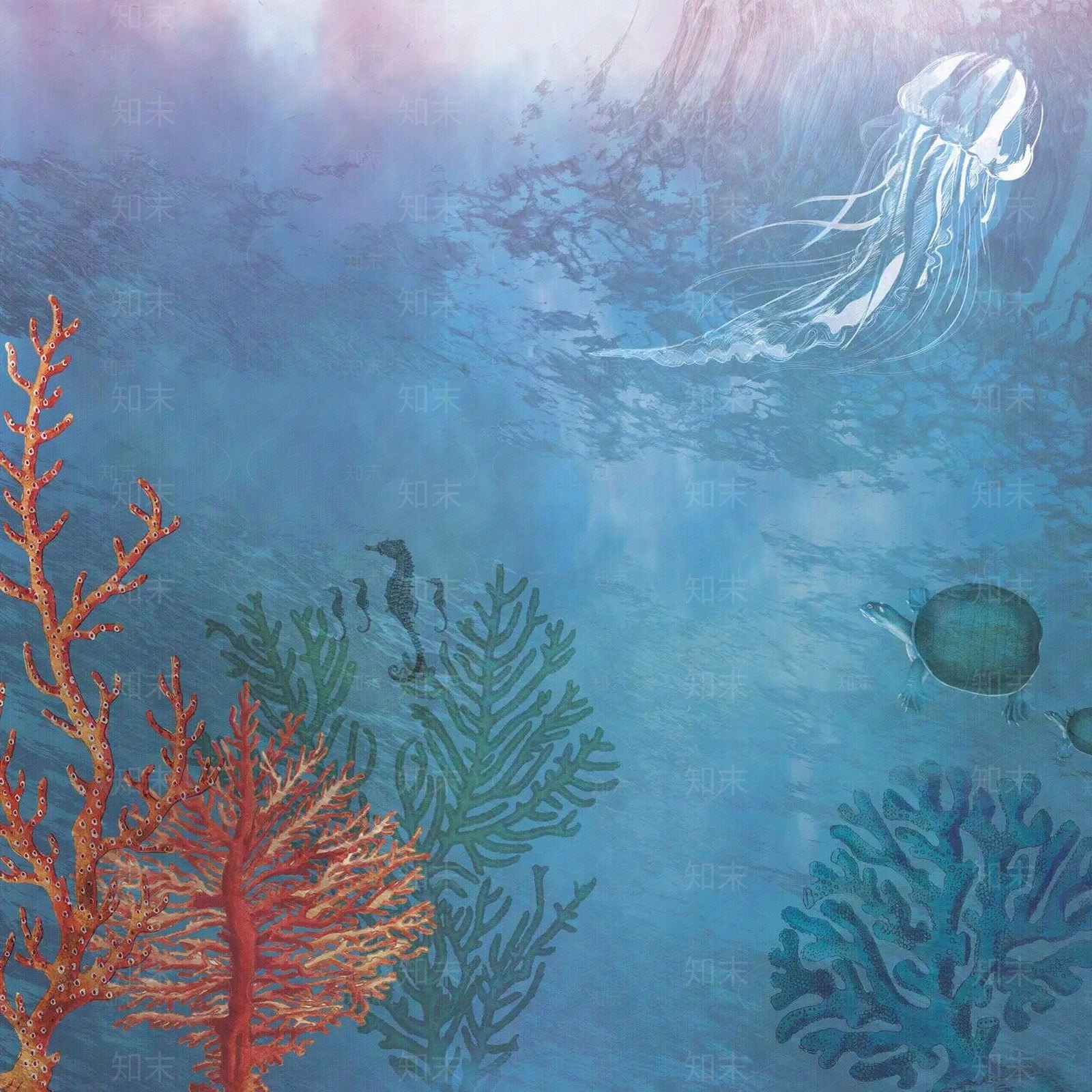 蓝色海洋植物壁画贴图下载【ID:1110987707】