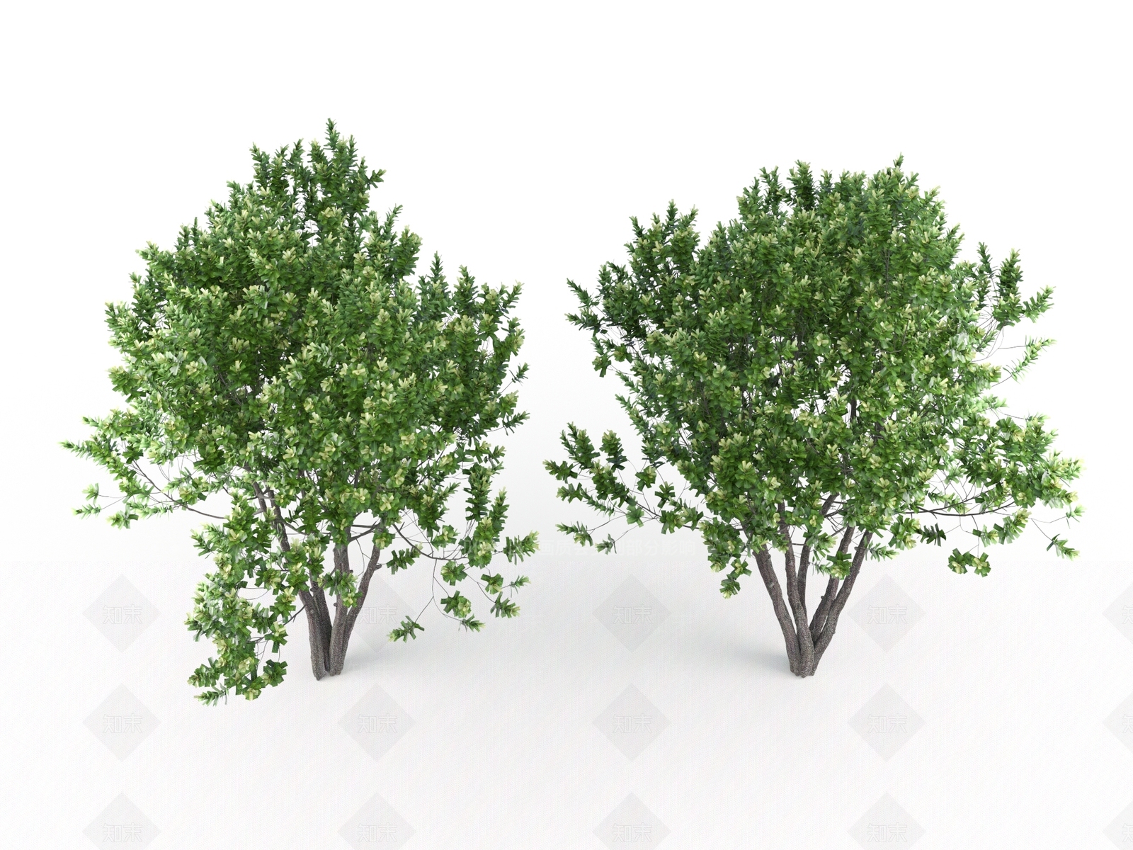 现代灌木3D模型下载【ID:1111000696】