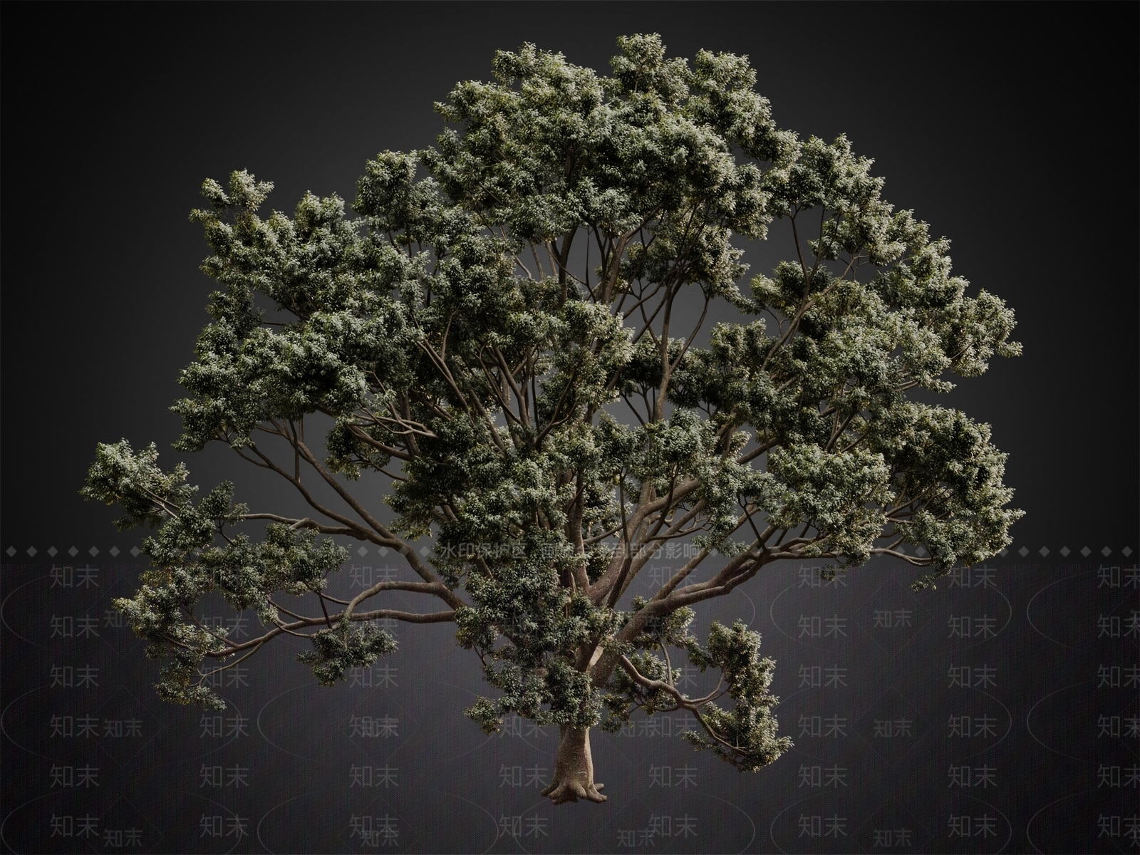 现代乔木3D模型下载【ID:1111211017】
