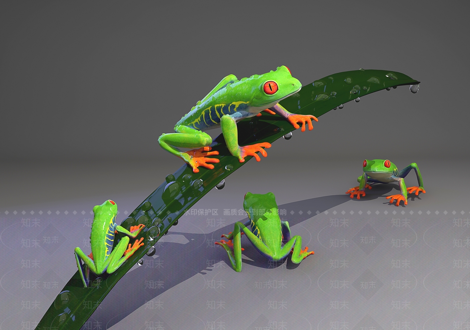现代箭蛙3D模型下载【ID:1111053790】