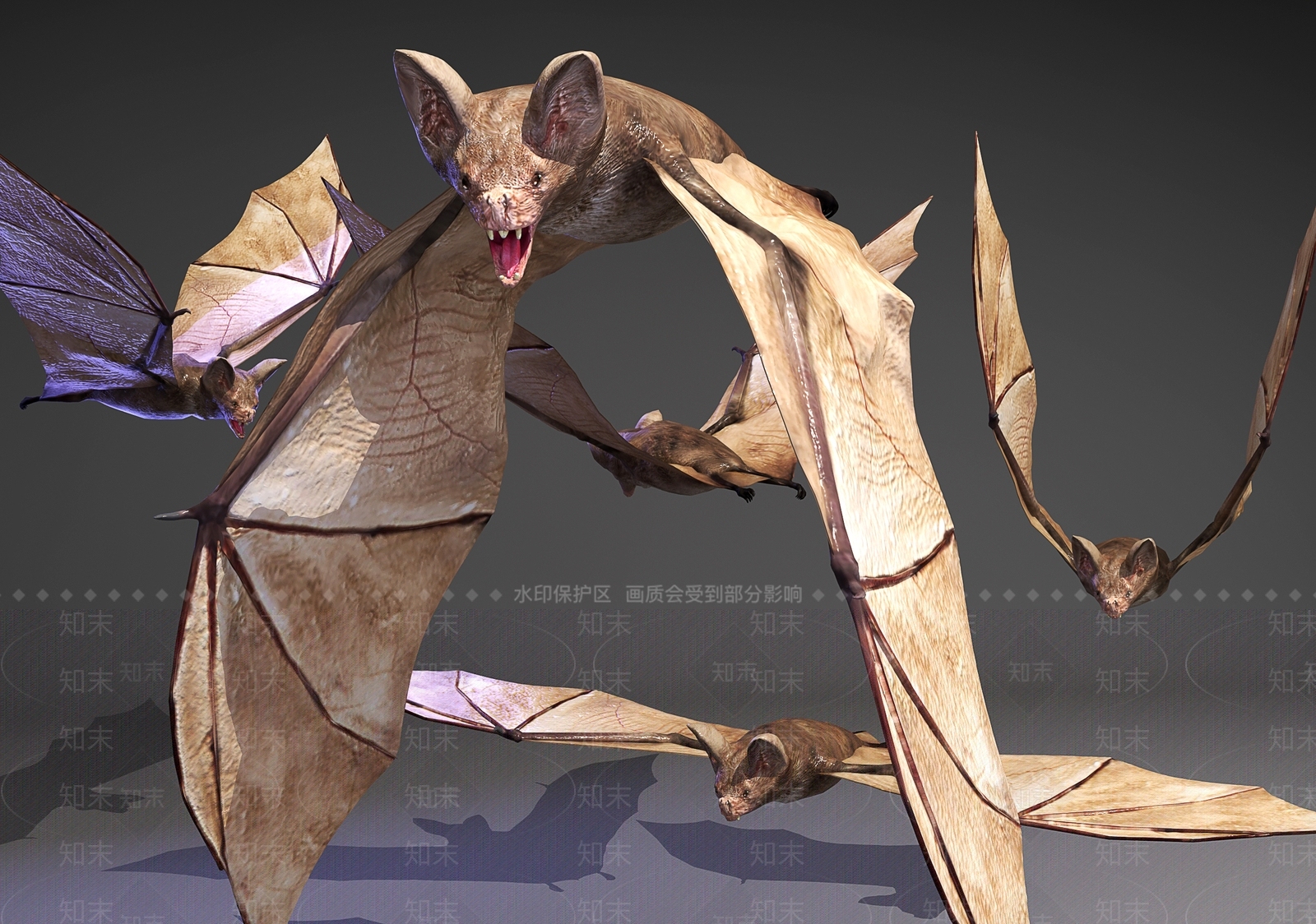 现代蝙蝠3D模型下载【ID:1111055359】