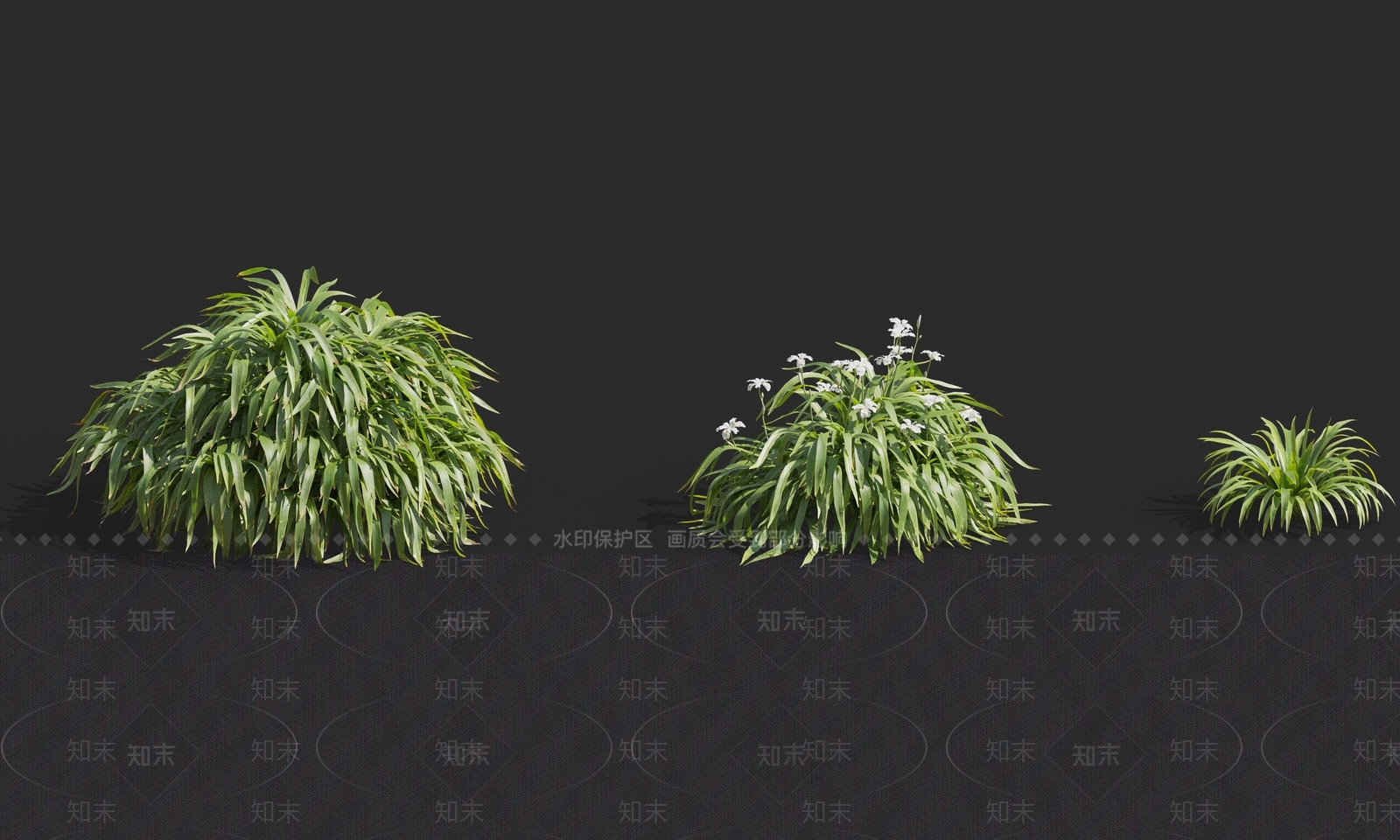 现代花草3D模型下载【ID:1111090691】