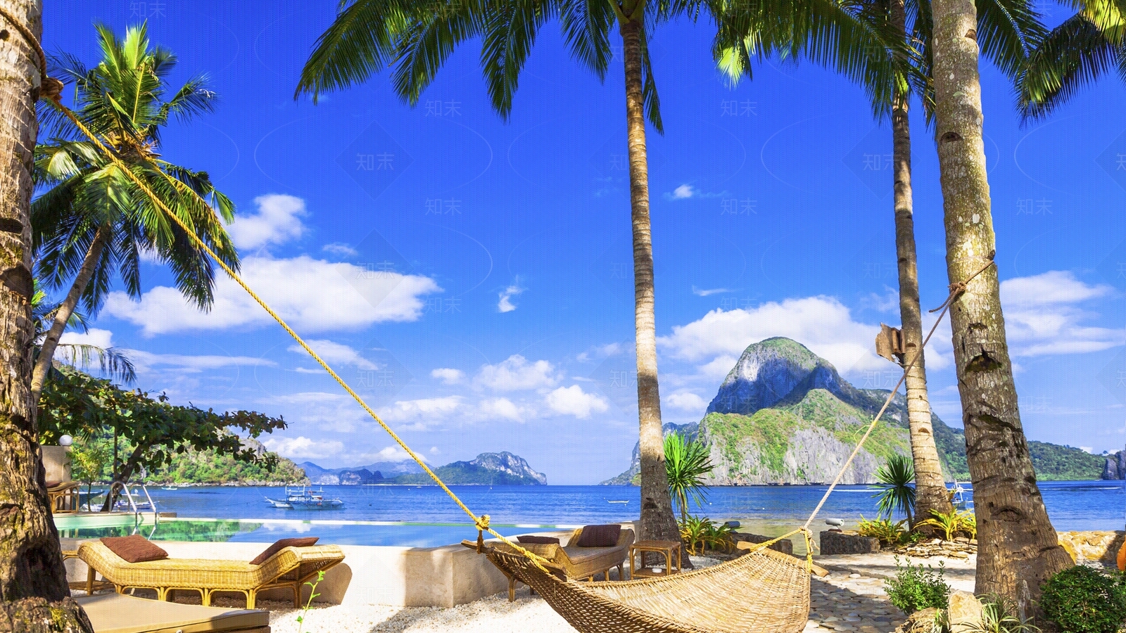 棕榈树贴图下载【ID:1111134432】