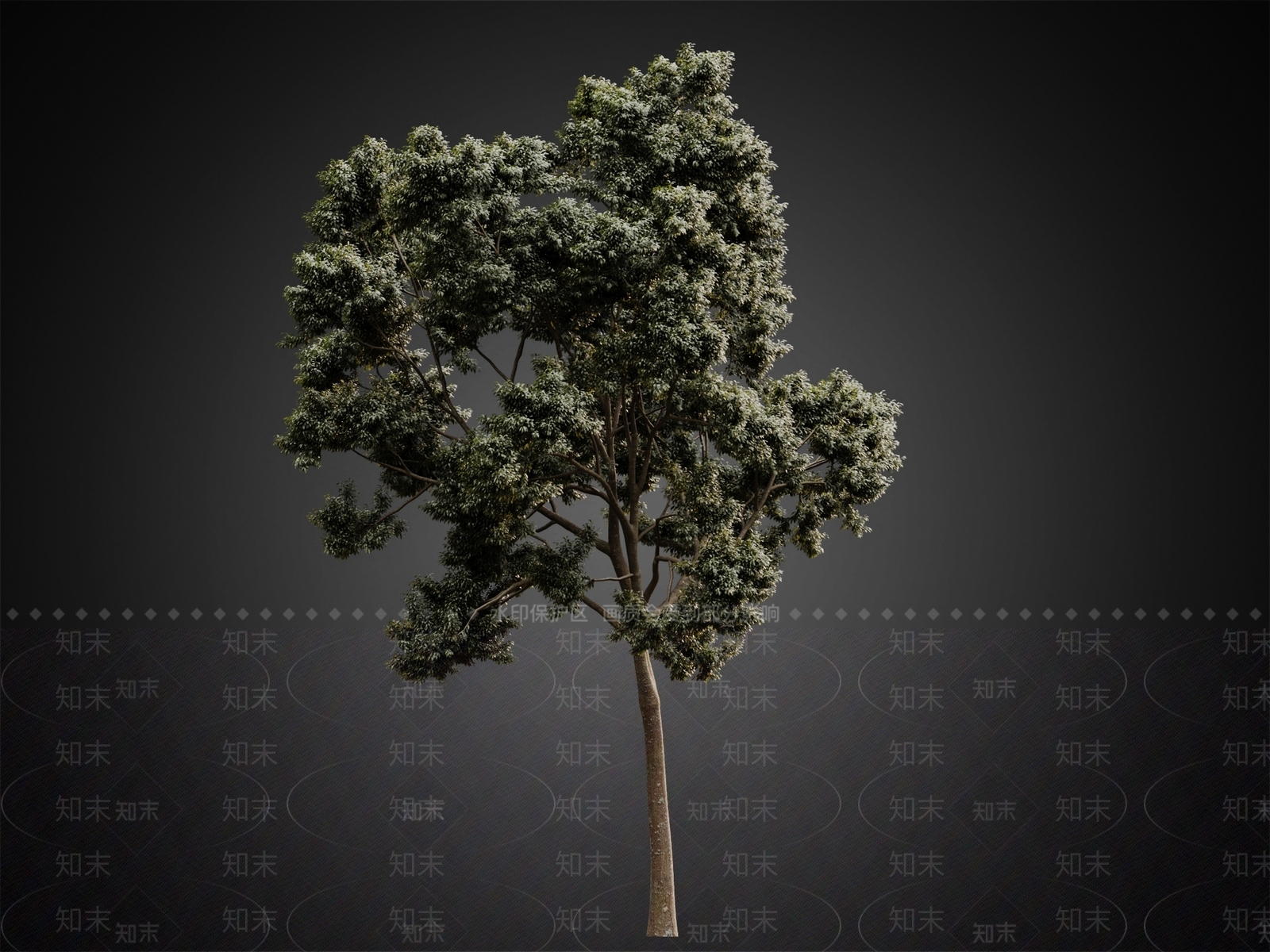 现代乔木3D模型下载【ID:1111220124】