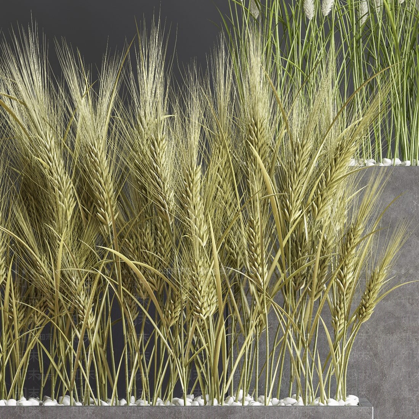 现代麦穗花箱3D模型下载【ID:1111252161】