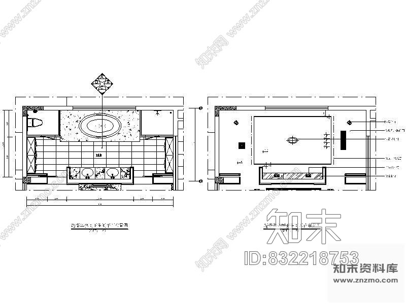 豪华别墅卧室卫生间立面图cad施工图下载【ID:832218753】