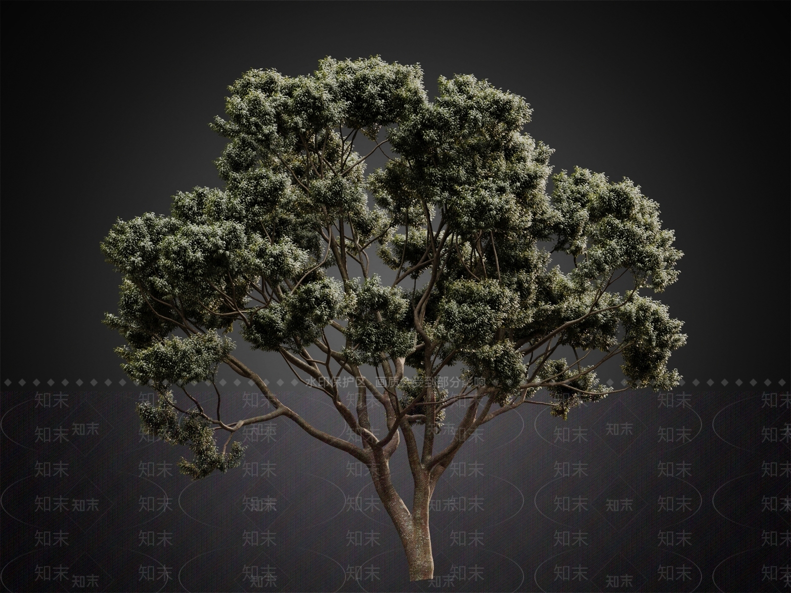 现代乔木3D模型下载【ID:1111312608】