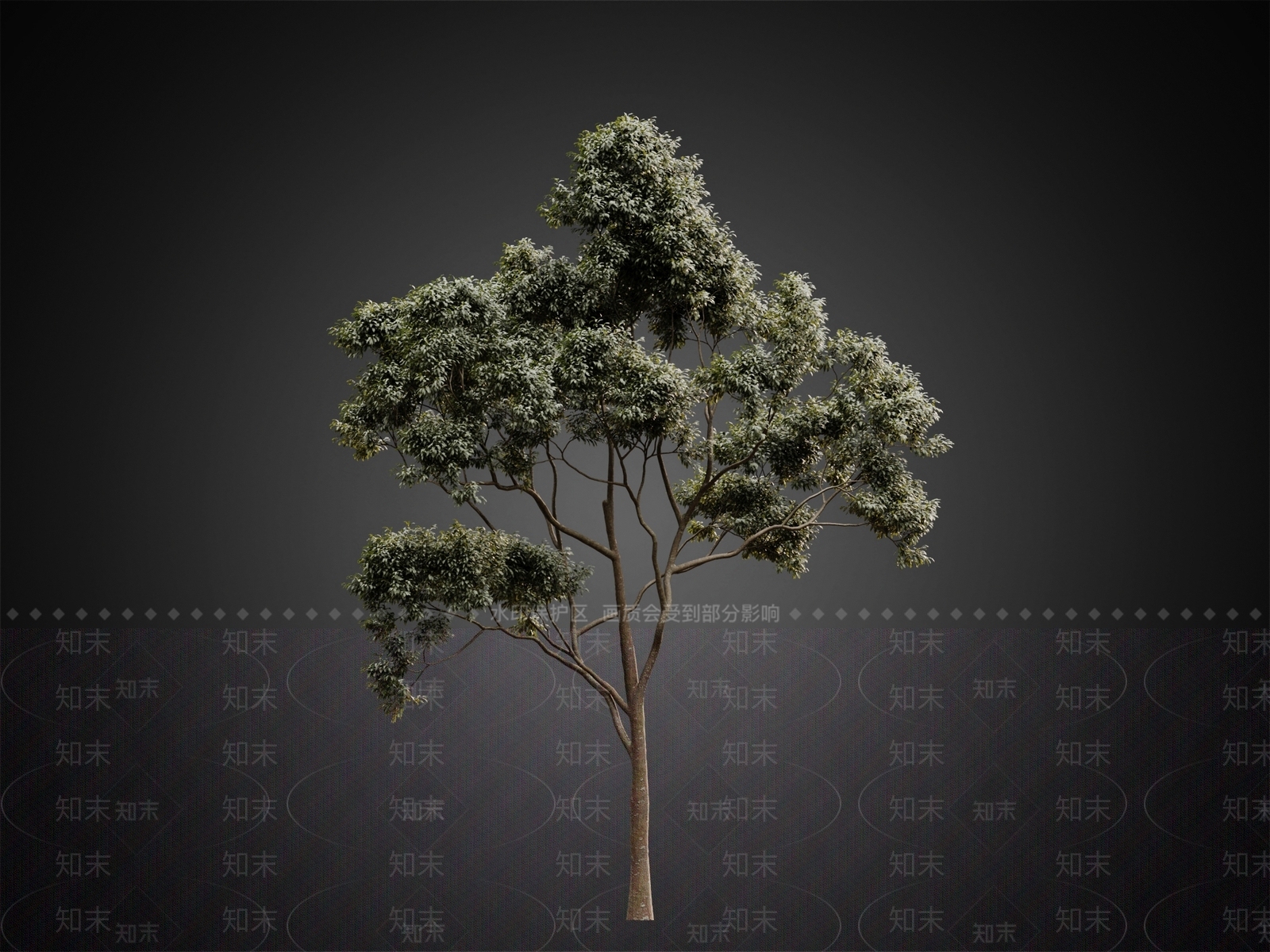 现代乔木3D模型下载【ID:1111312712】