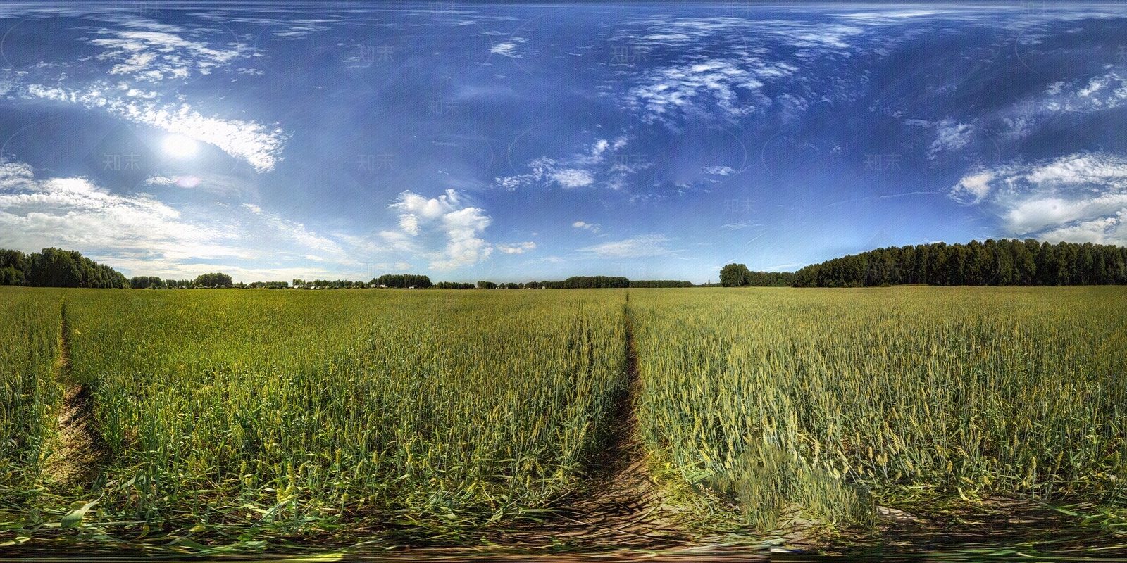 田野蓝天HDR贴图下载【ID:1111911504】