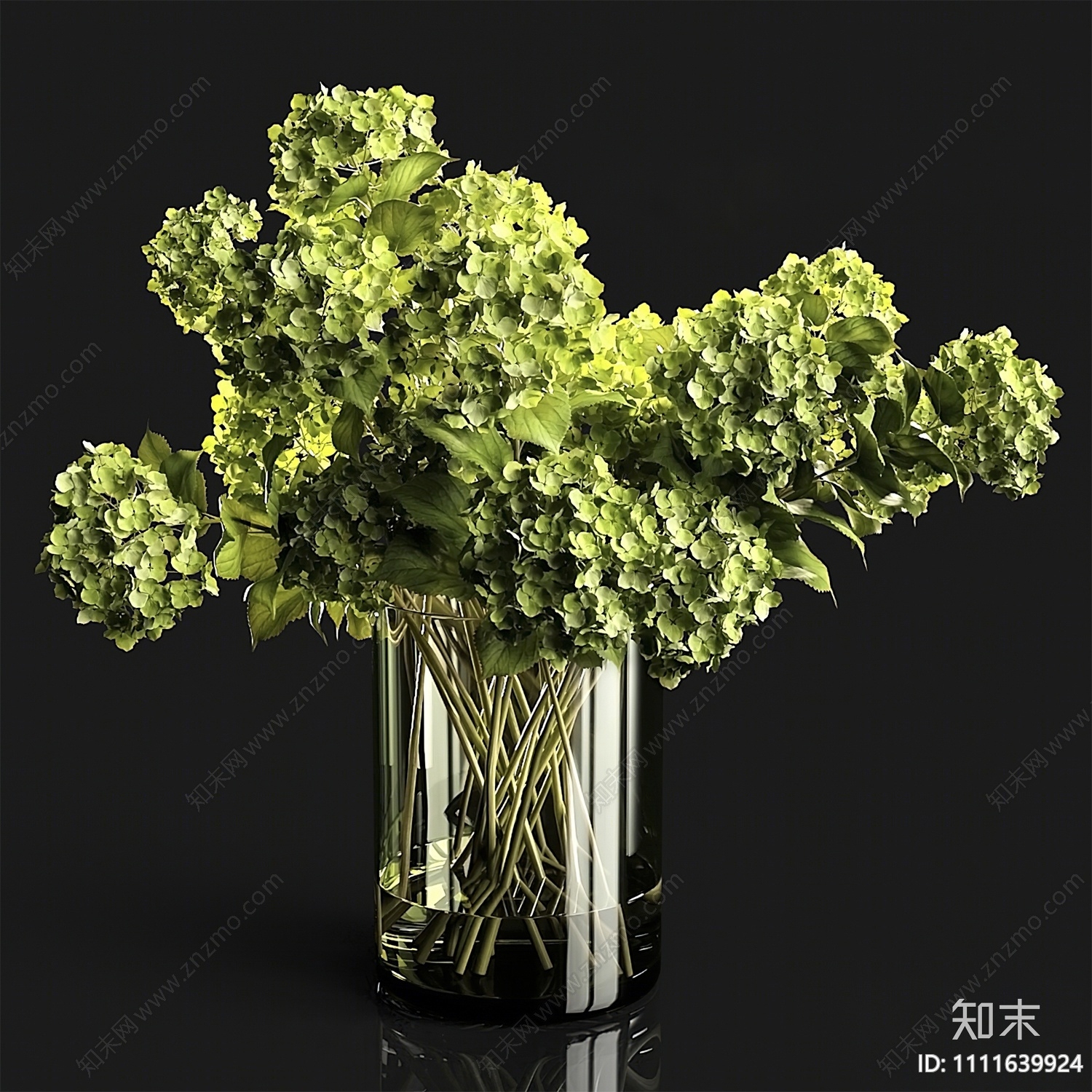 现代水生植物3D模型下载【ID:1111639924】