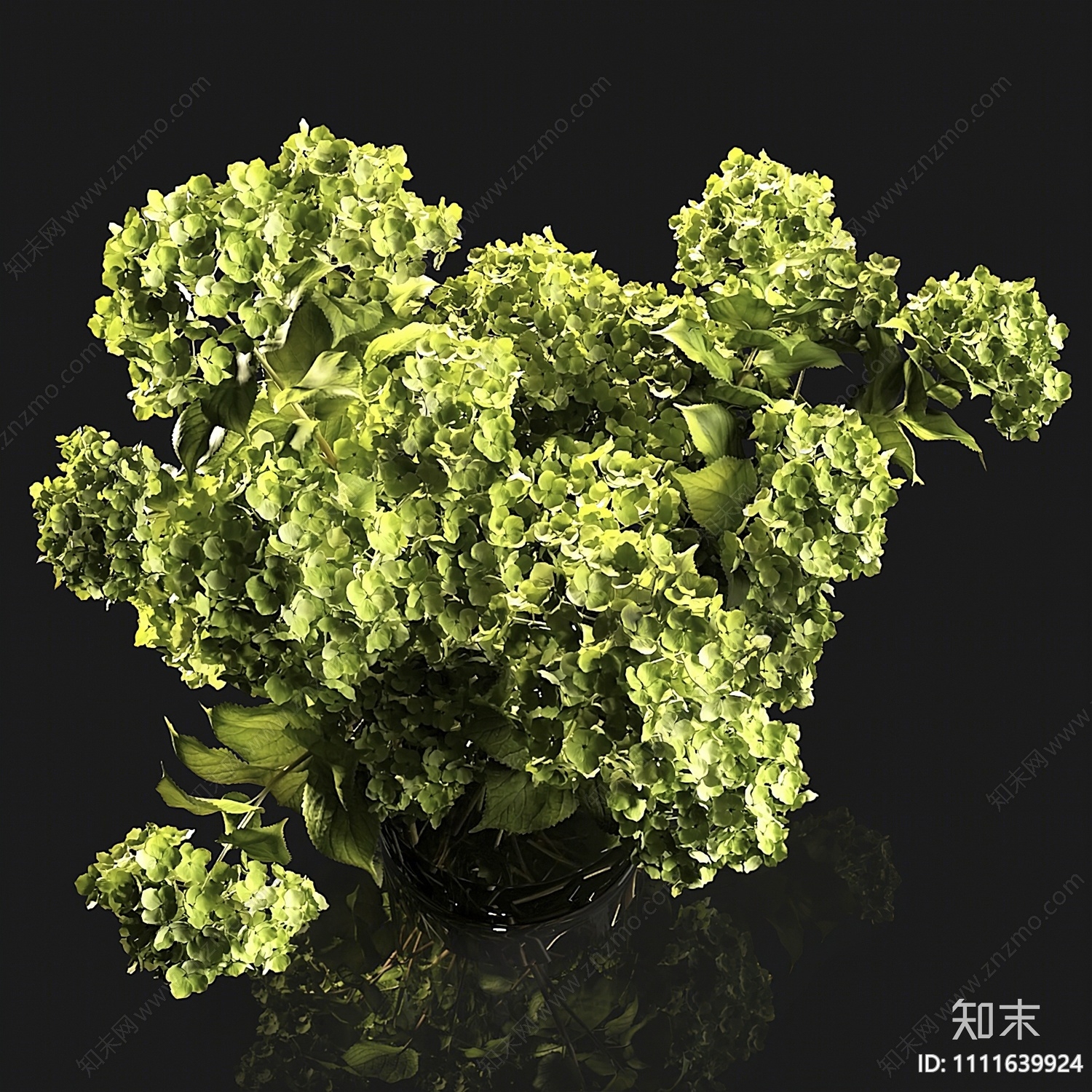 现代水生植物3D模型下载【ID:1111639924】