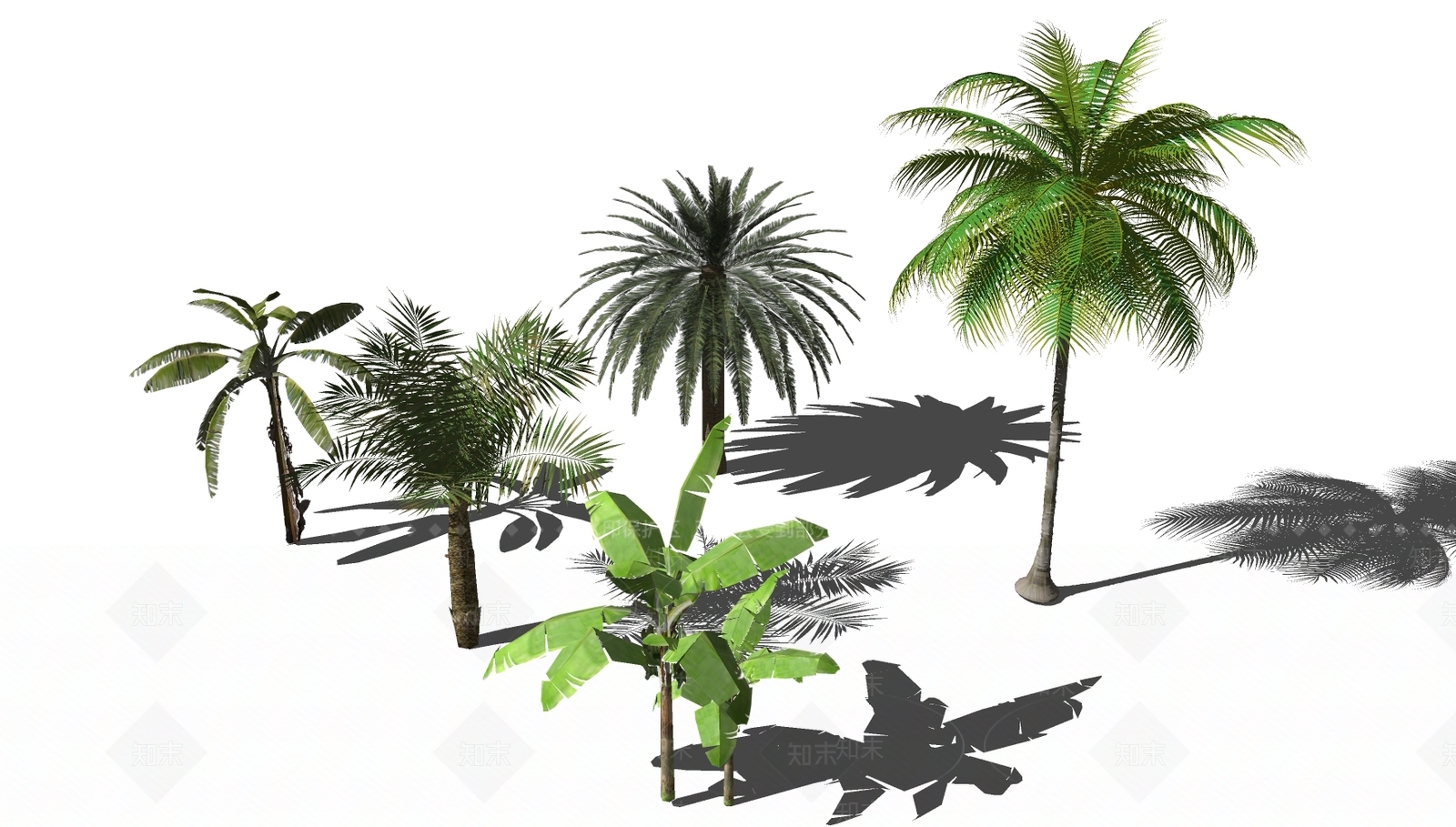现代热带景观树SU模型下载【ID:1111678538】