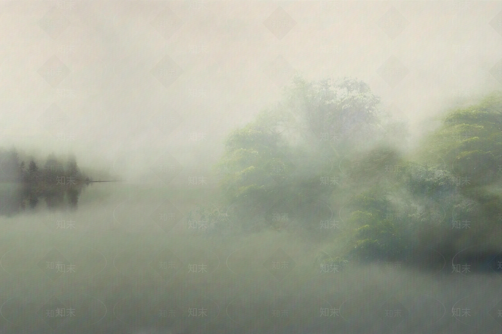 绿色模糊风景植物壁画贴图下载【ID:1111702007】