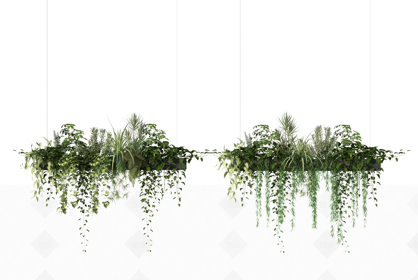 现代吊篮植物3D模型下载【ID:1111757301】