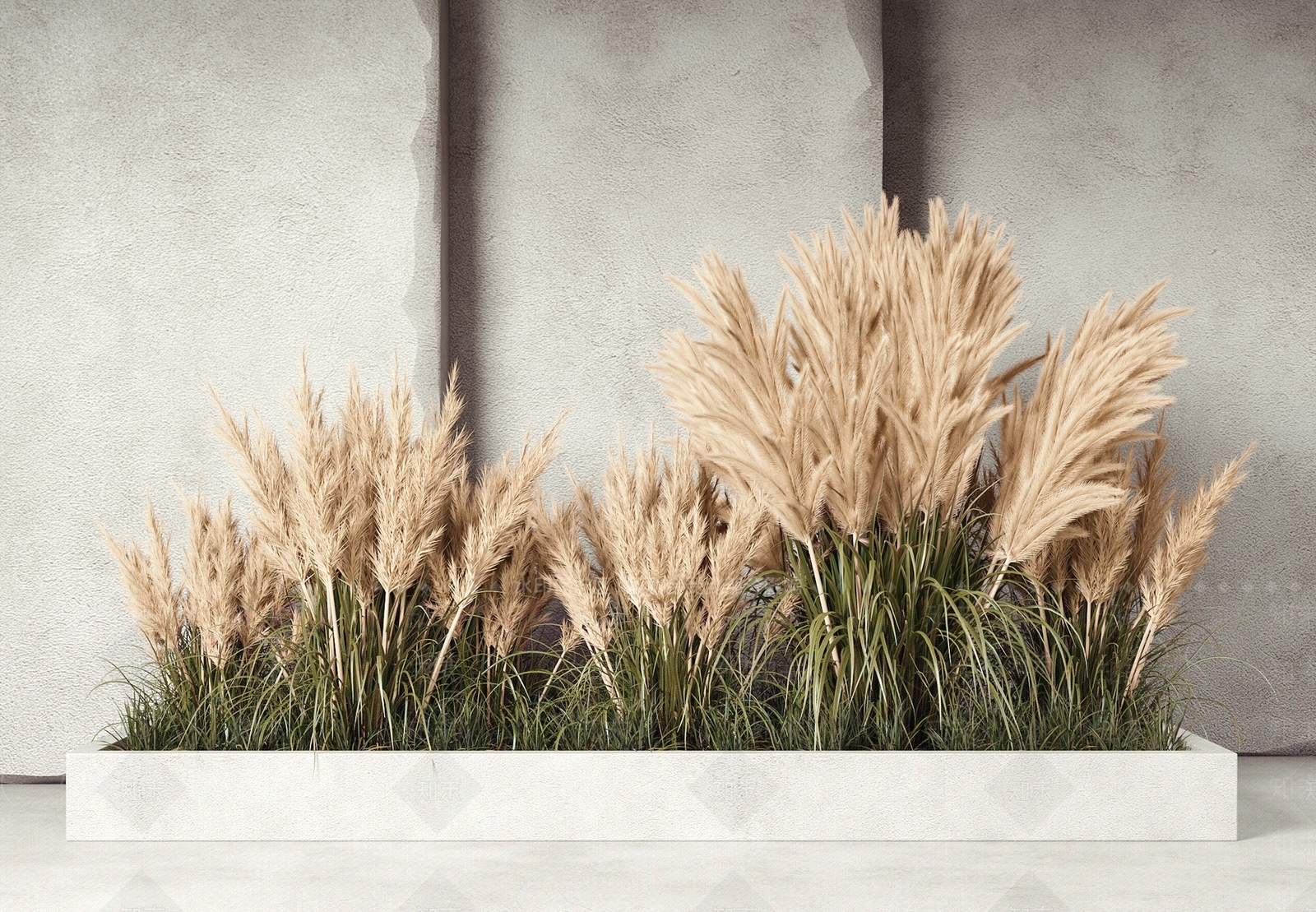 现代芦苇3D模型下载【ID:1111866846】