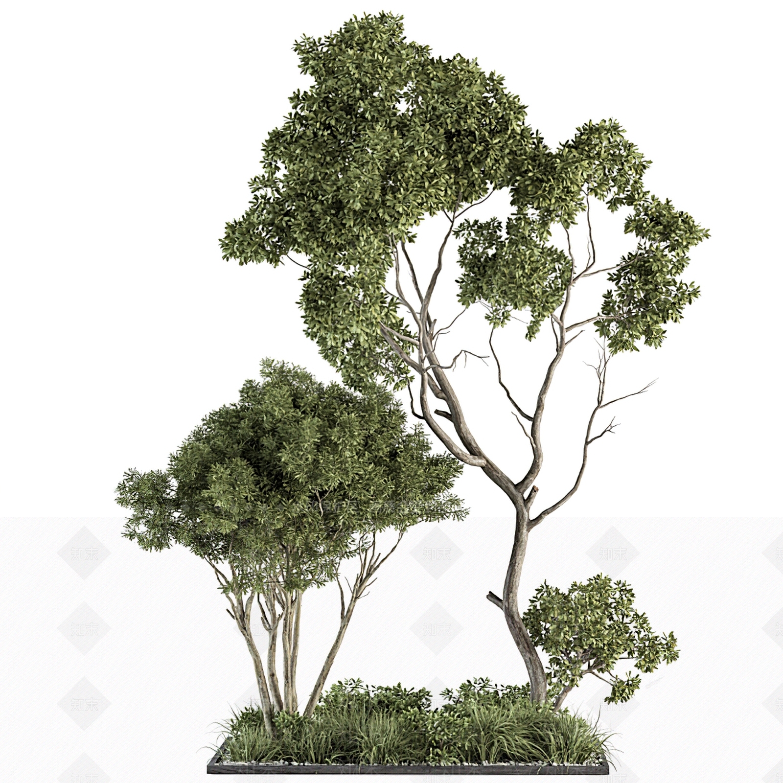 现代植物堆3D模型下载【ID:1111889444】