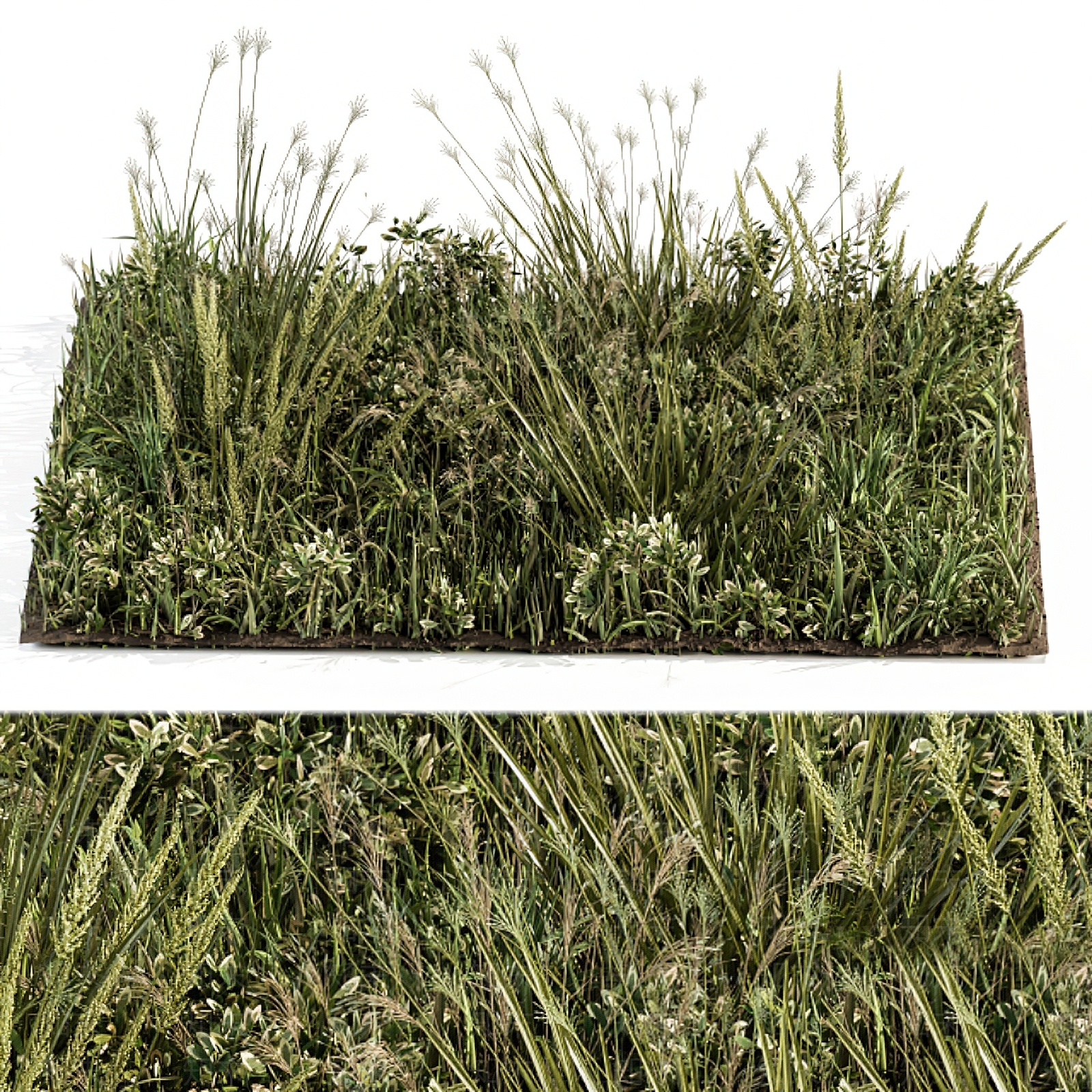 现代草丛3D模型下载【ID:1112074420】