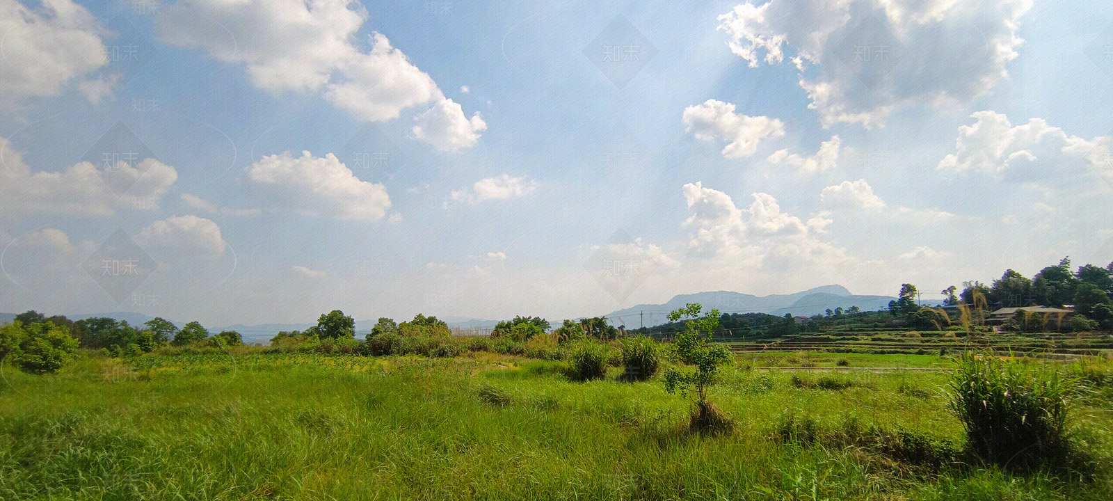 天空草地野外乡村风景贴图下载【ID:1112167044】