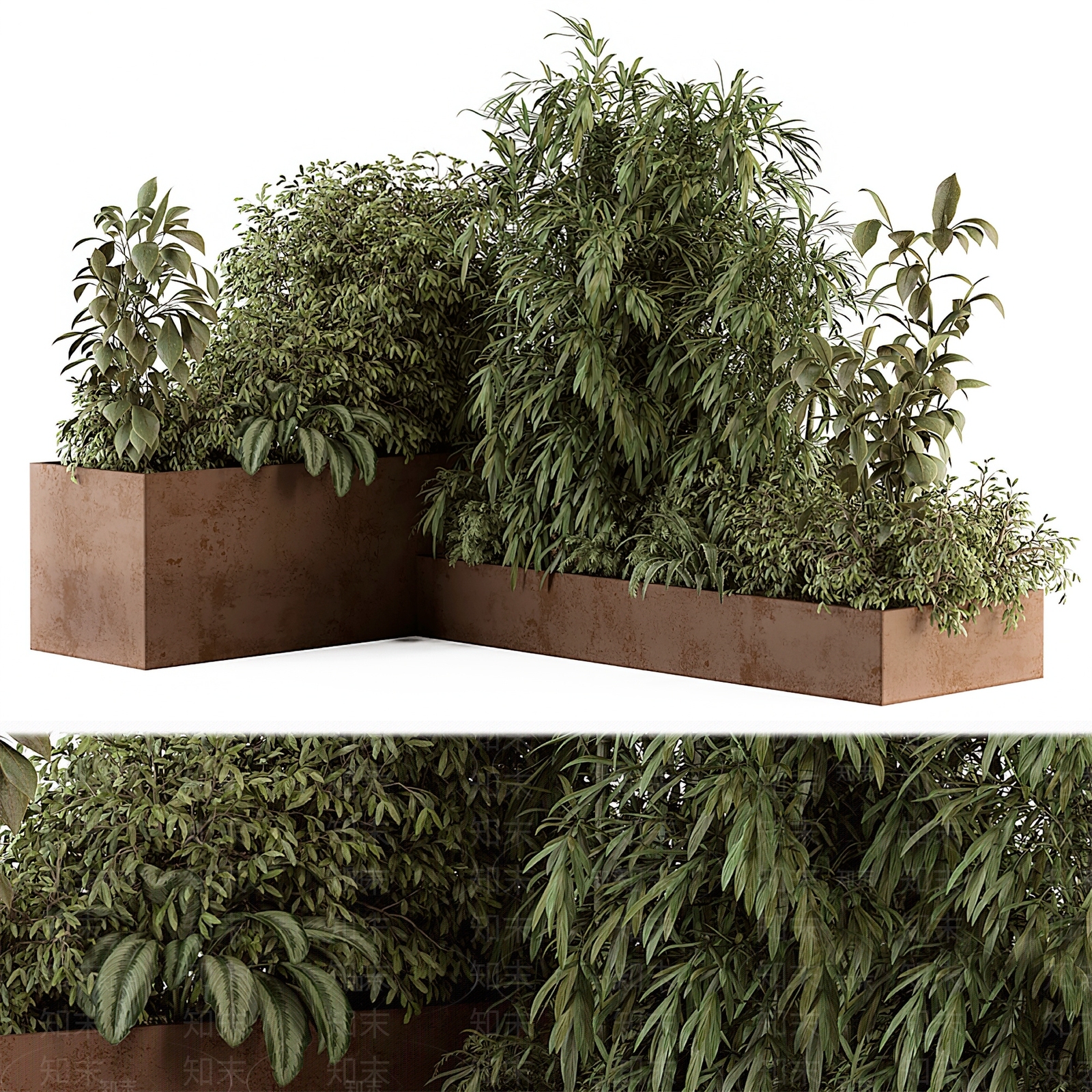 现代植物堆3D模型下载【ID:1112205264】