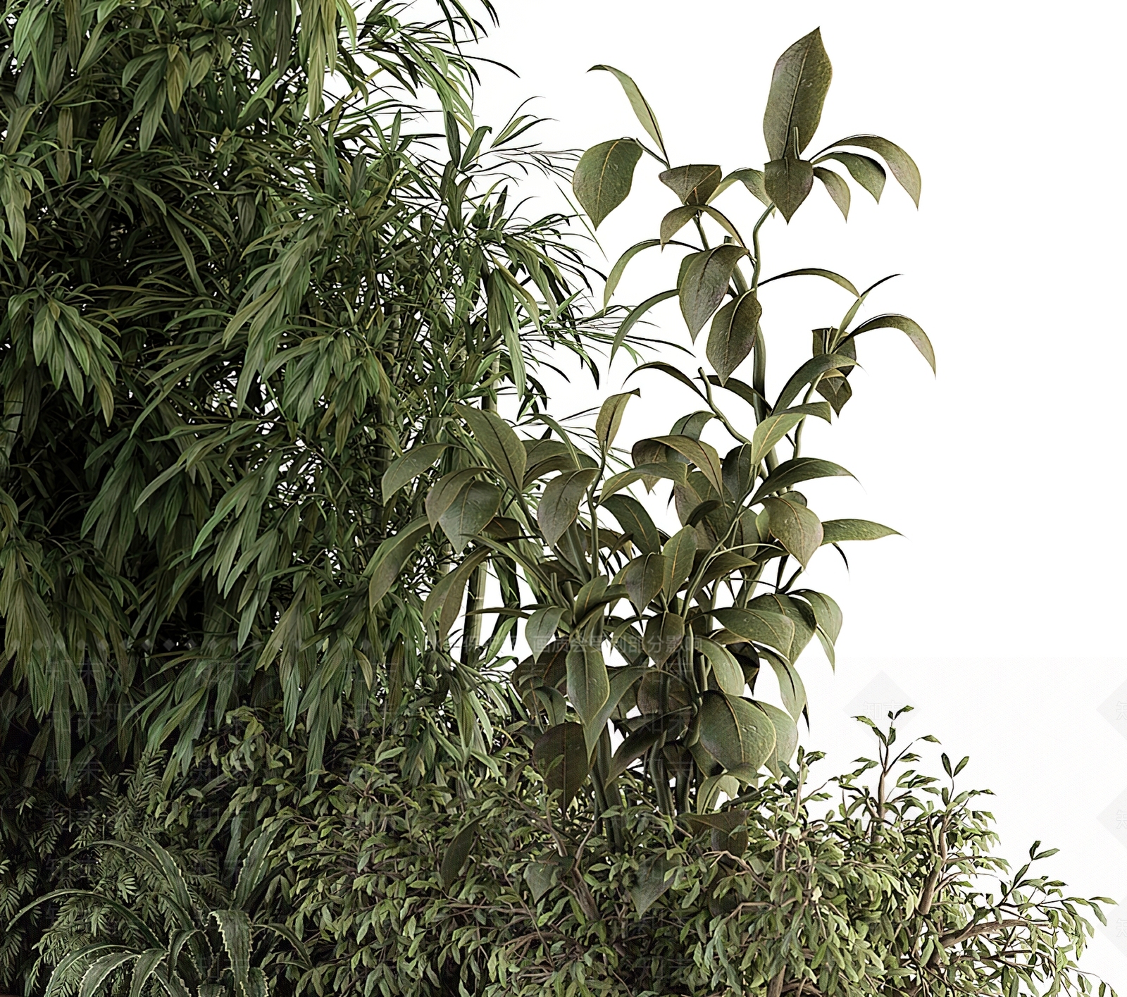 现代植物堆3D模型下载【ID:1112205264】