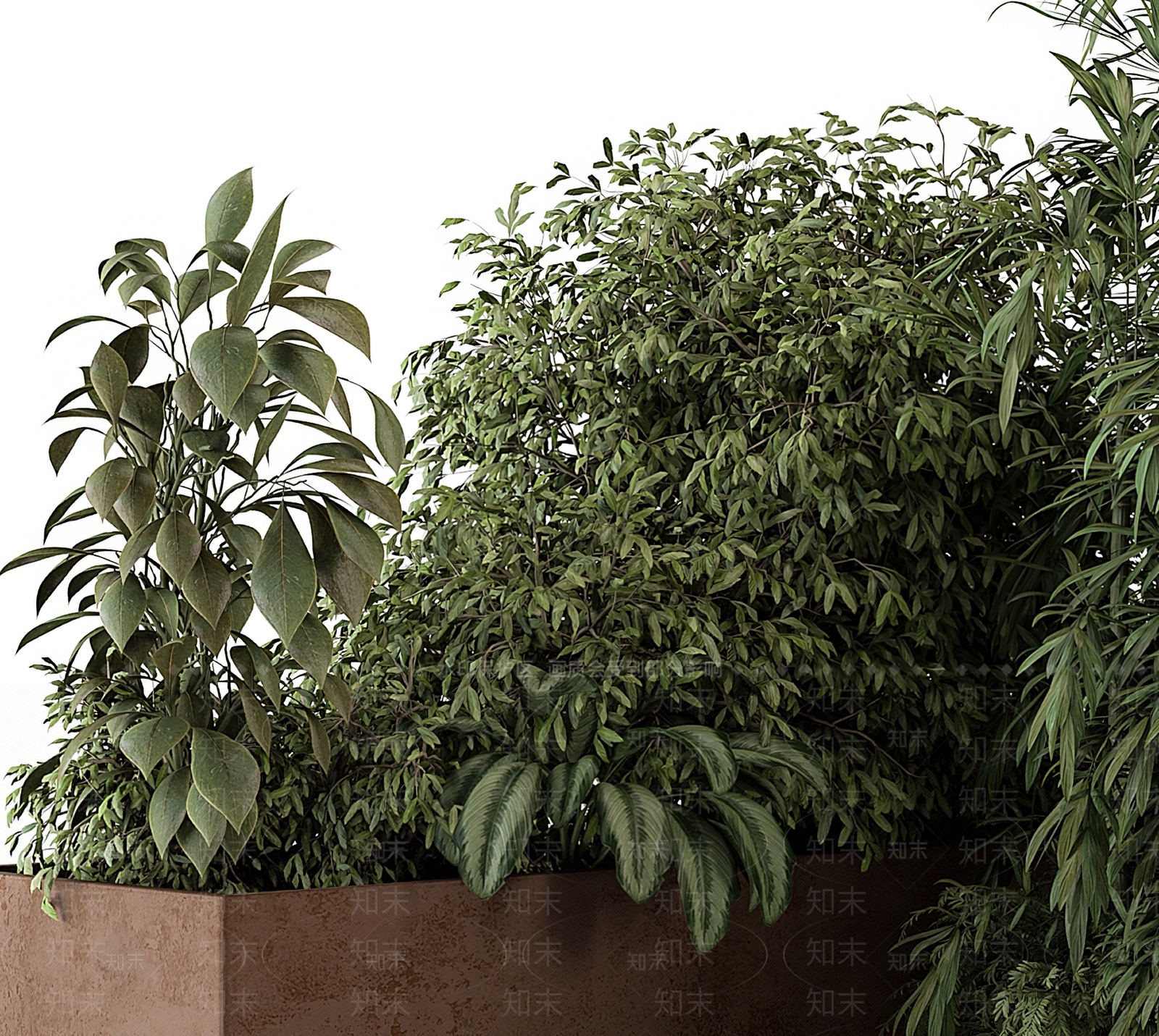 现代植物堆3D模型下载【ID:1112205264】
