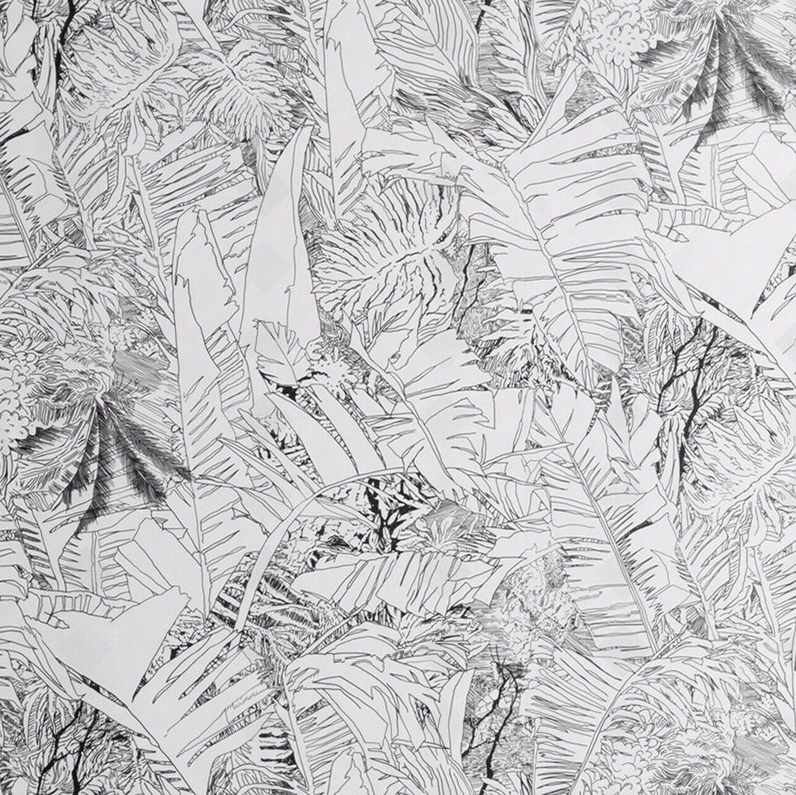 黑白植物印花壁纸贴图下载【ID:1112246504】