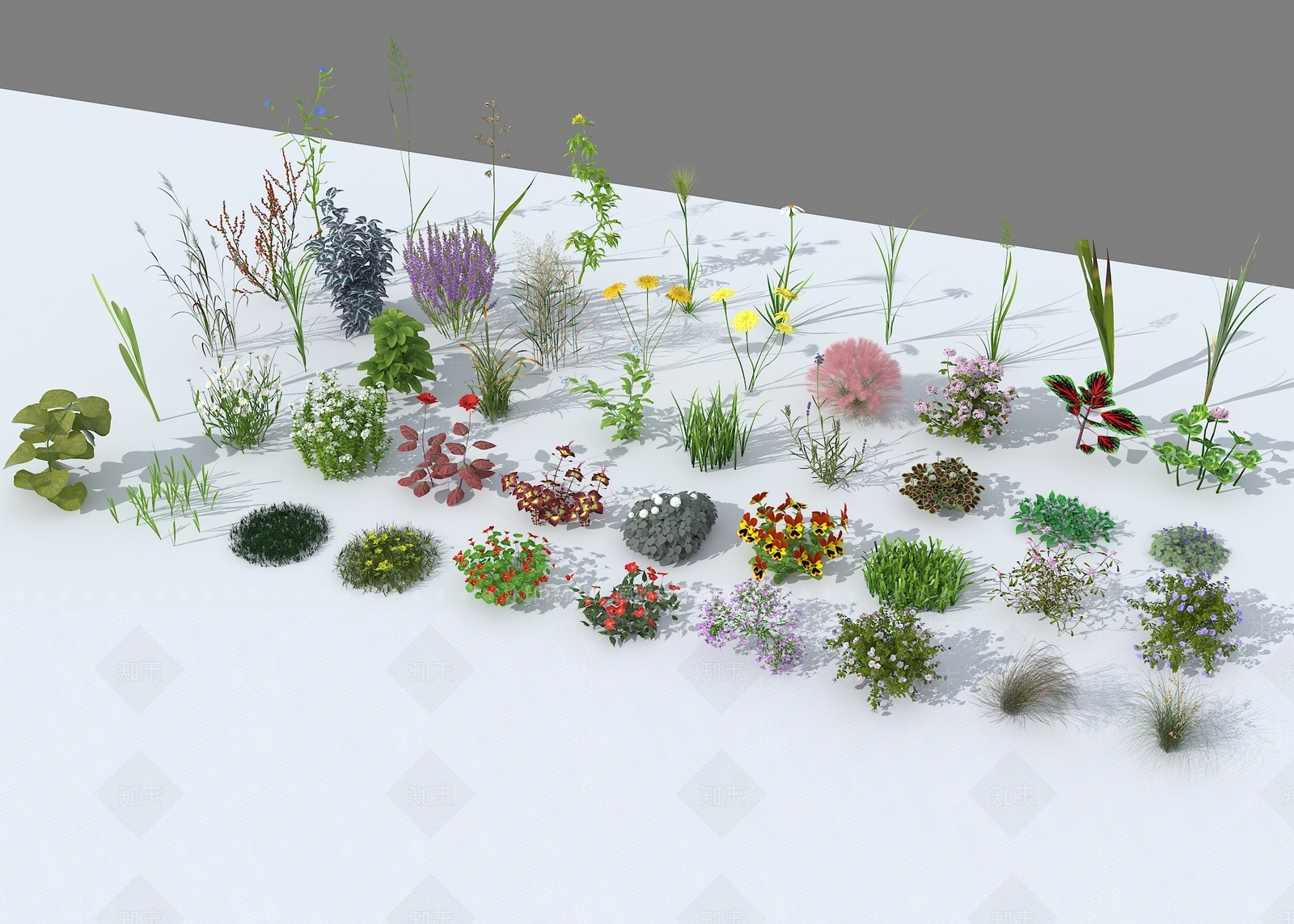现代花草组合3D模型下载【ID:1112249564】