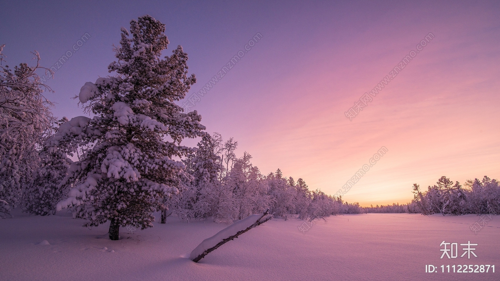 黄昏户外树林雪景贴图下载【ID:1112252871】