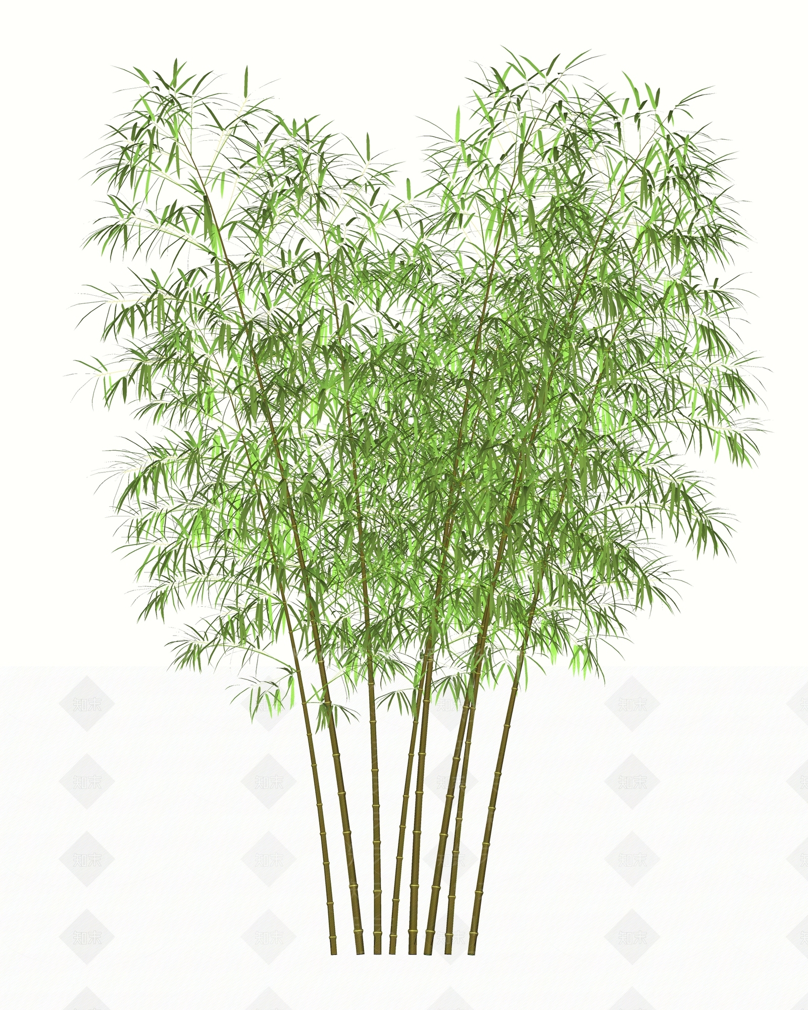 现代竹子SU模型下载【ID:1112311031】
