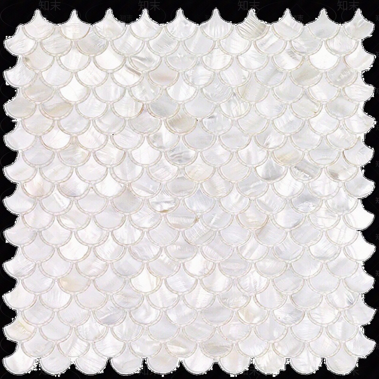 白色鱼鳞形贝壳马赛克贴图下载【ID:1112410814】