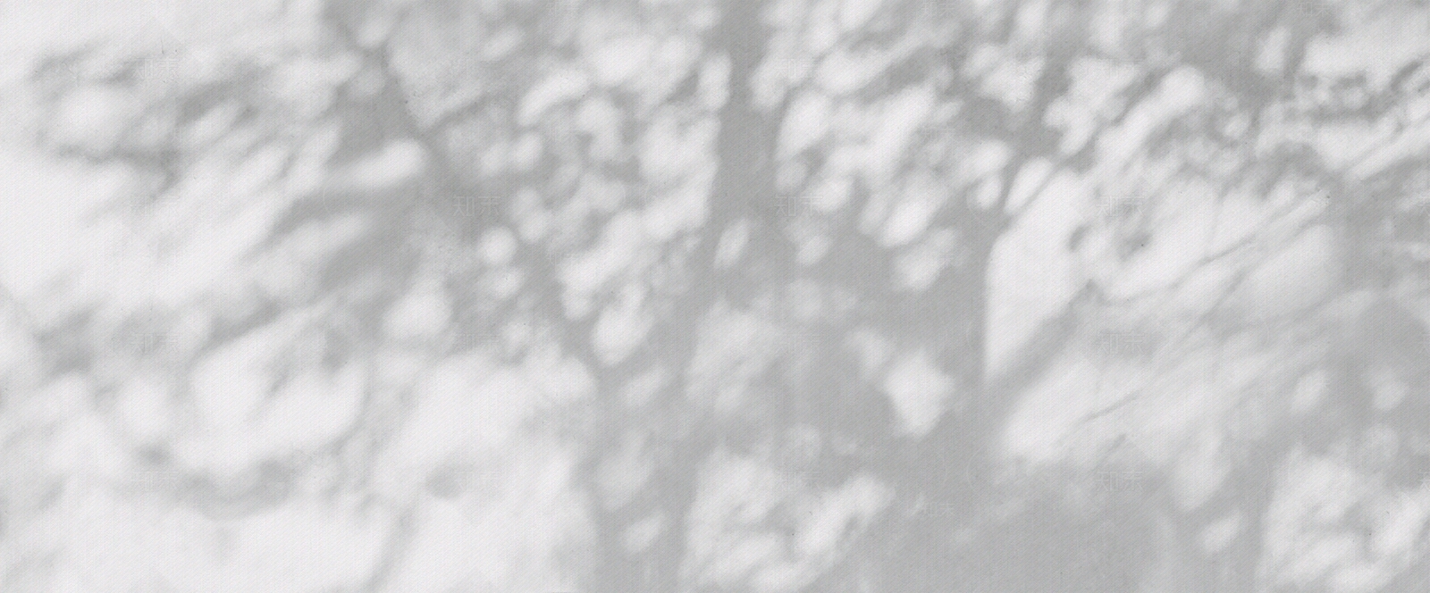 灰色植物树影壁画贴图下载【ID:1112524738】