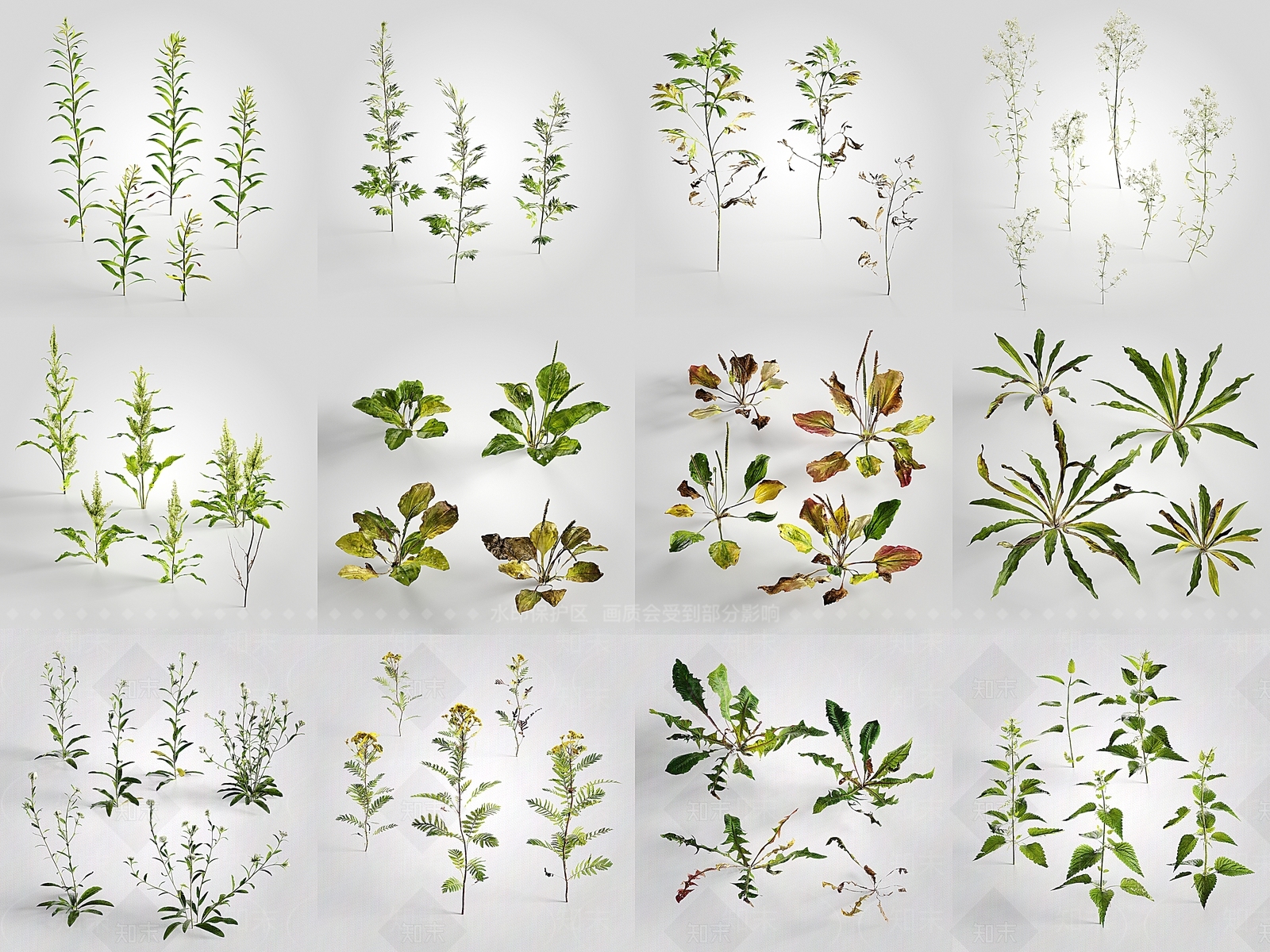 现代花草组合3D模型下载【ID:1112590202】