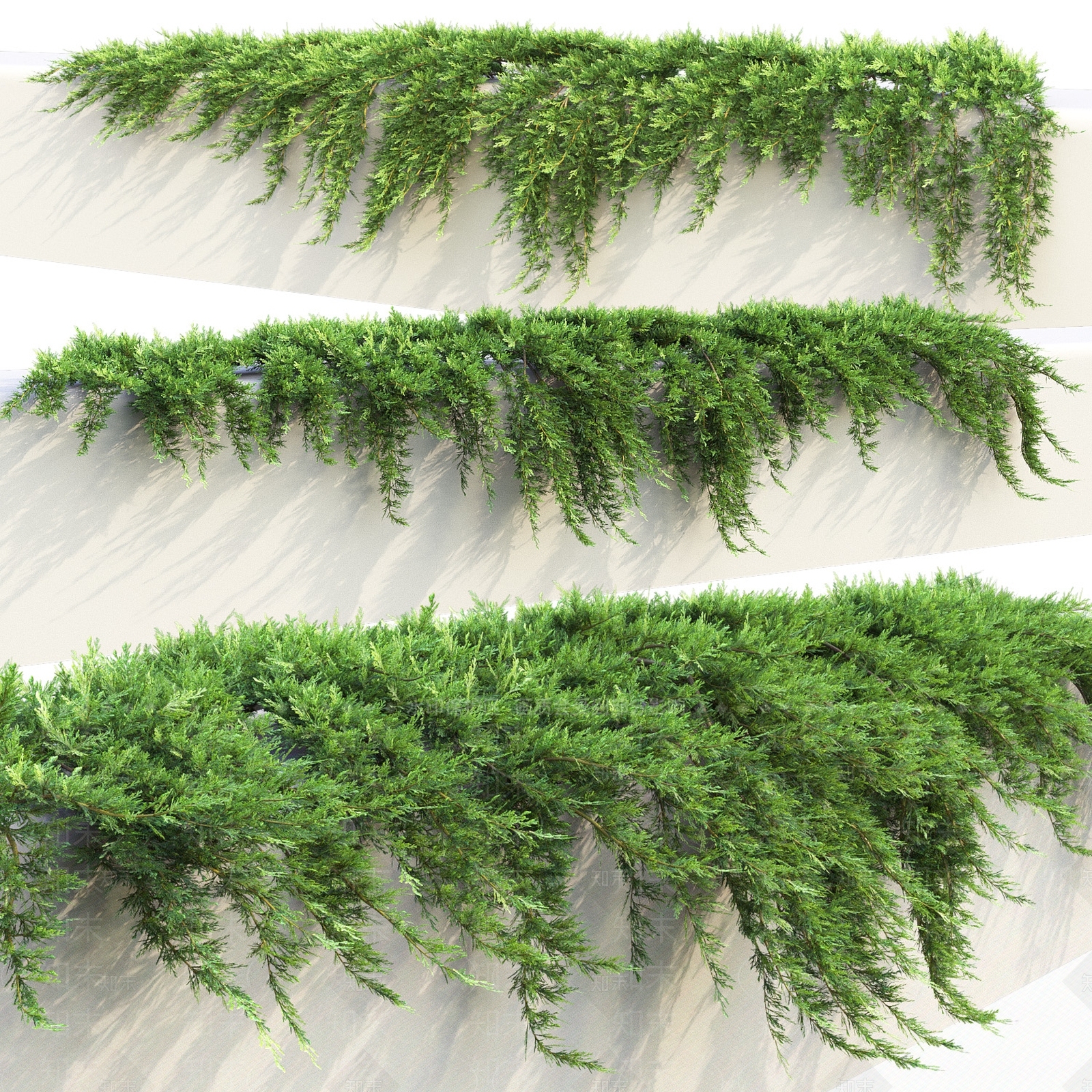 现代藤蔓3D模型下载【ID:1112617208】