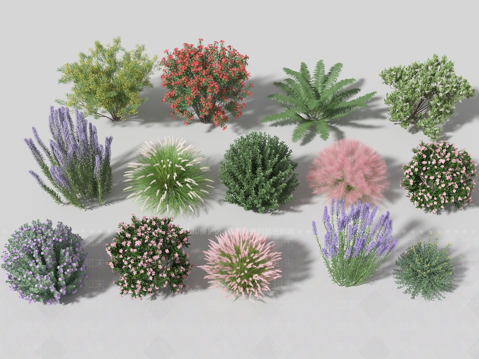 现代薰衣草3D模型下载【ID:1112690056】