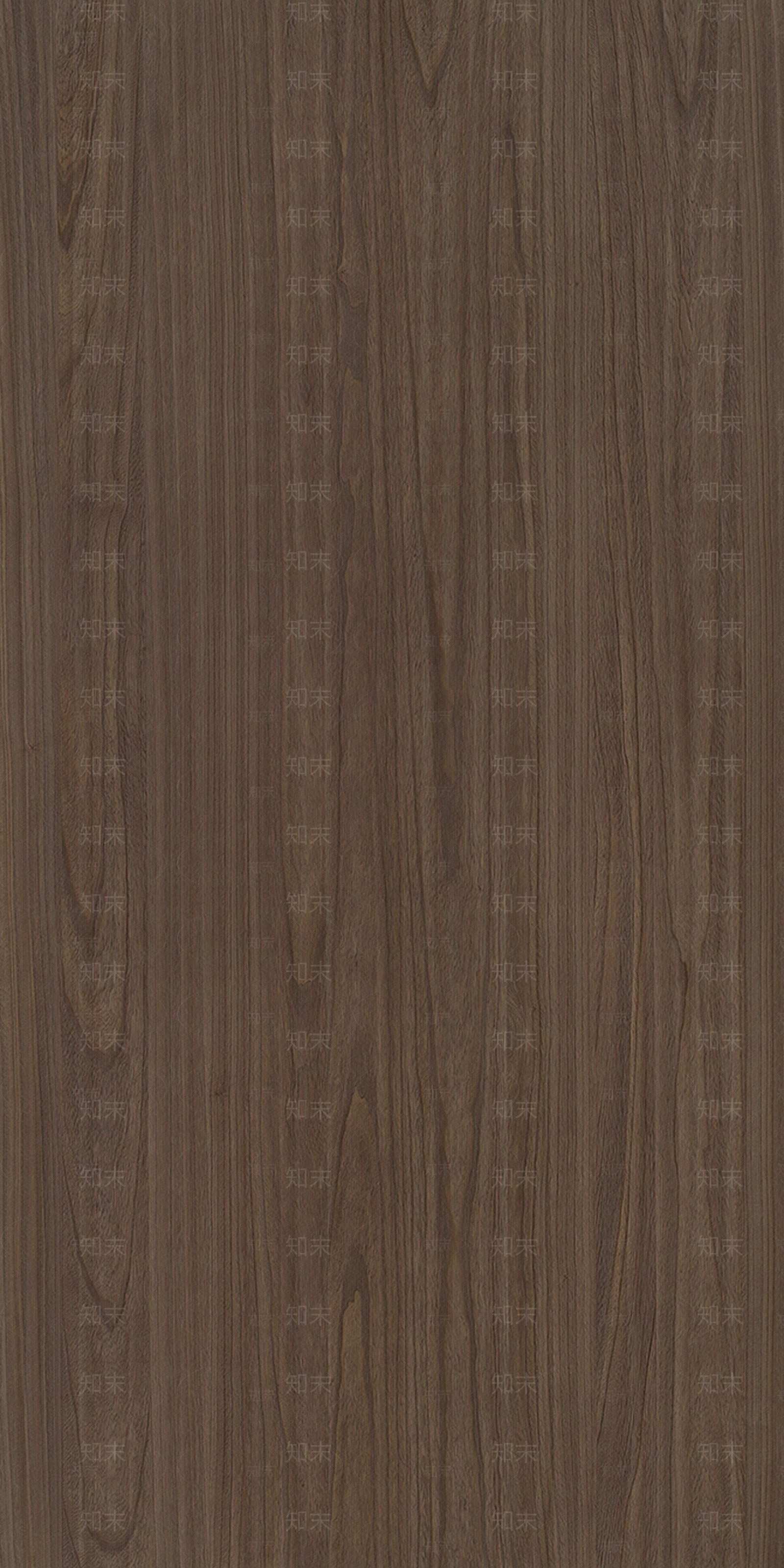 梧桐木原木木饰面贴图下载【ID:1112791865】