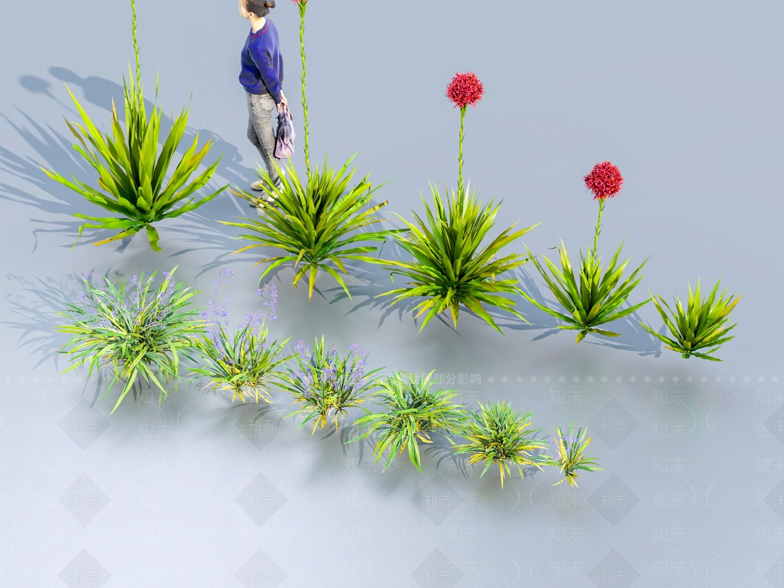现代悉尼火百合3D模型下载【ID:1112878397】
