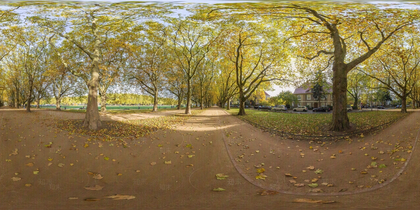 秋季落叶树林HDR贴图下载【ID:1112893345】